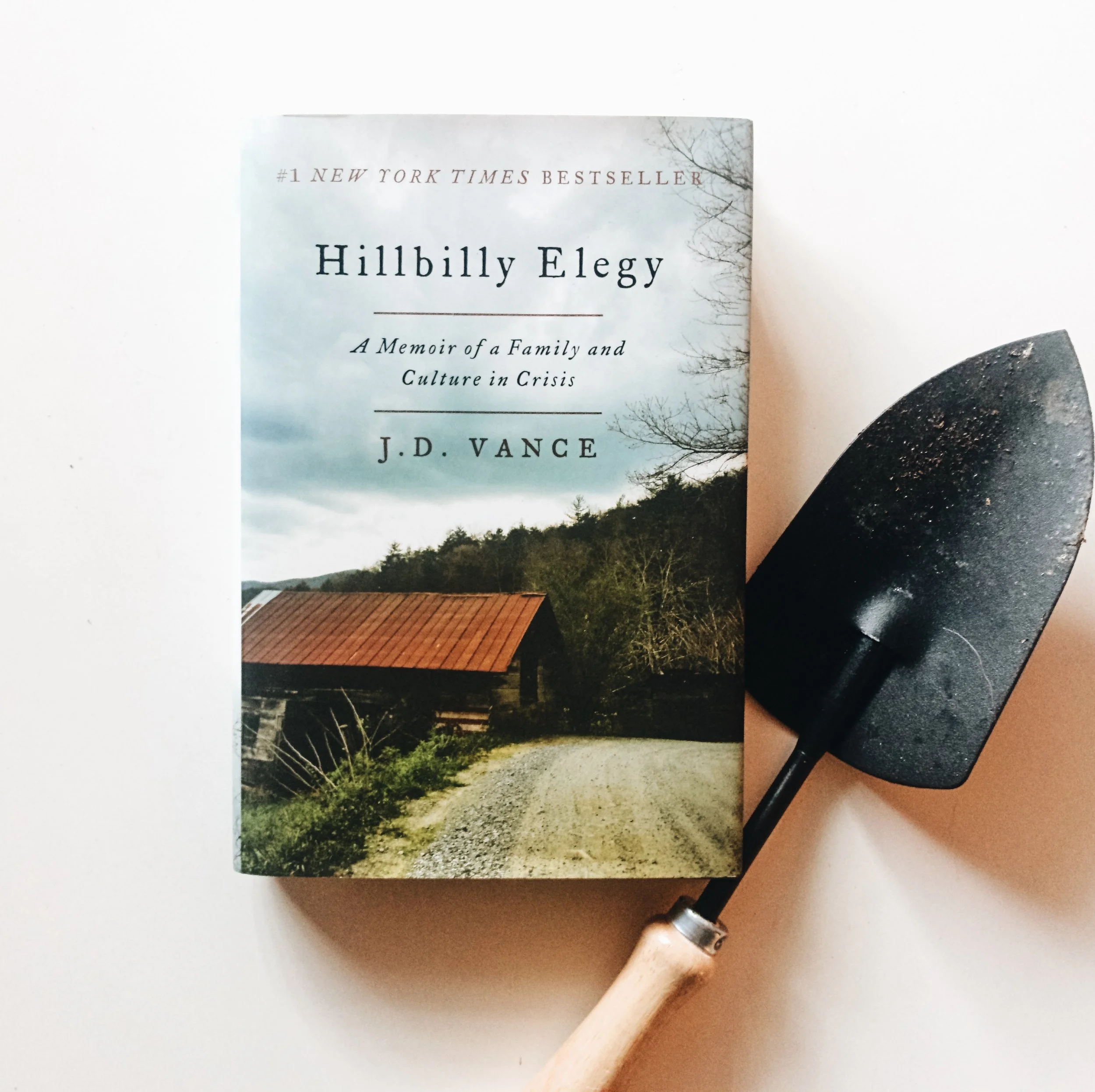 #241 Hillbilly Elegy.jpg