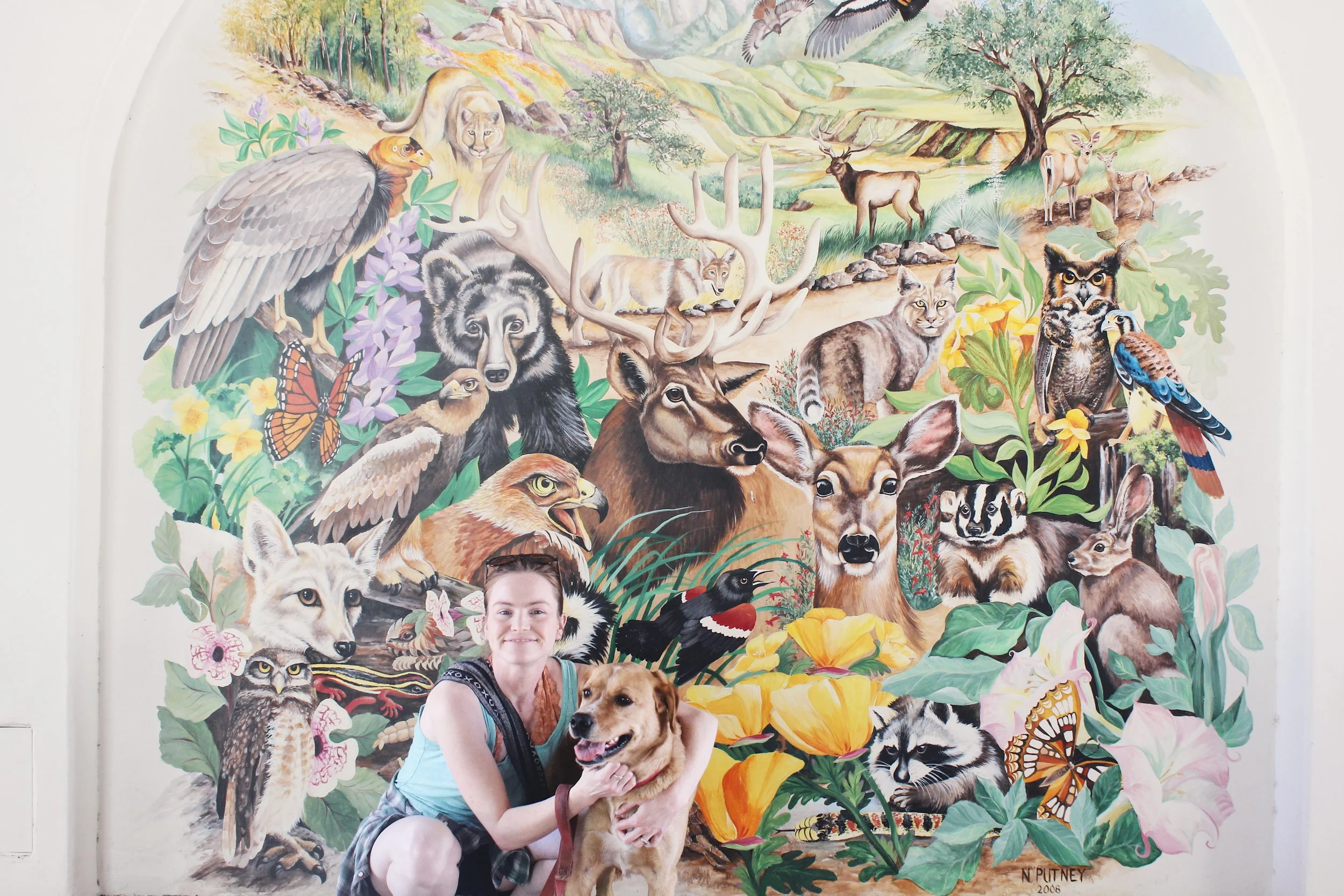 National Dog Day 2019