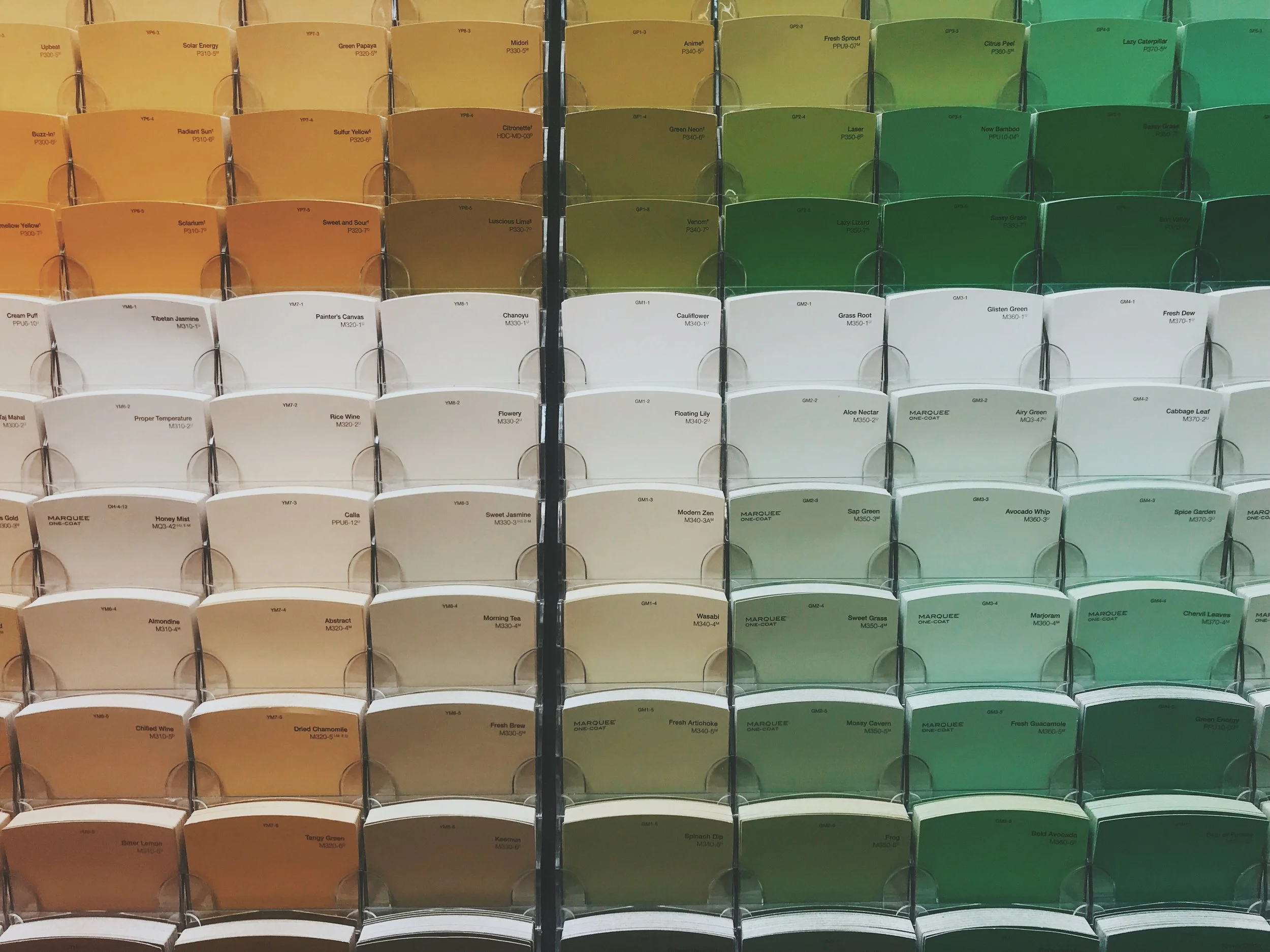 Be Kind to Everyone Along the Way