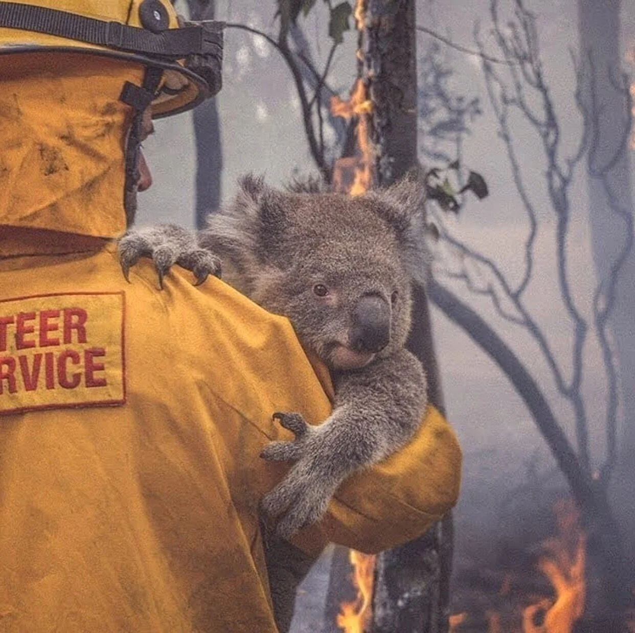 13 Australia.JPG