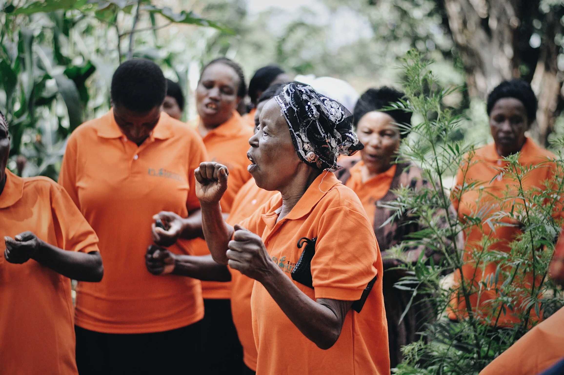 Images Say a Lot About Nonprofits 