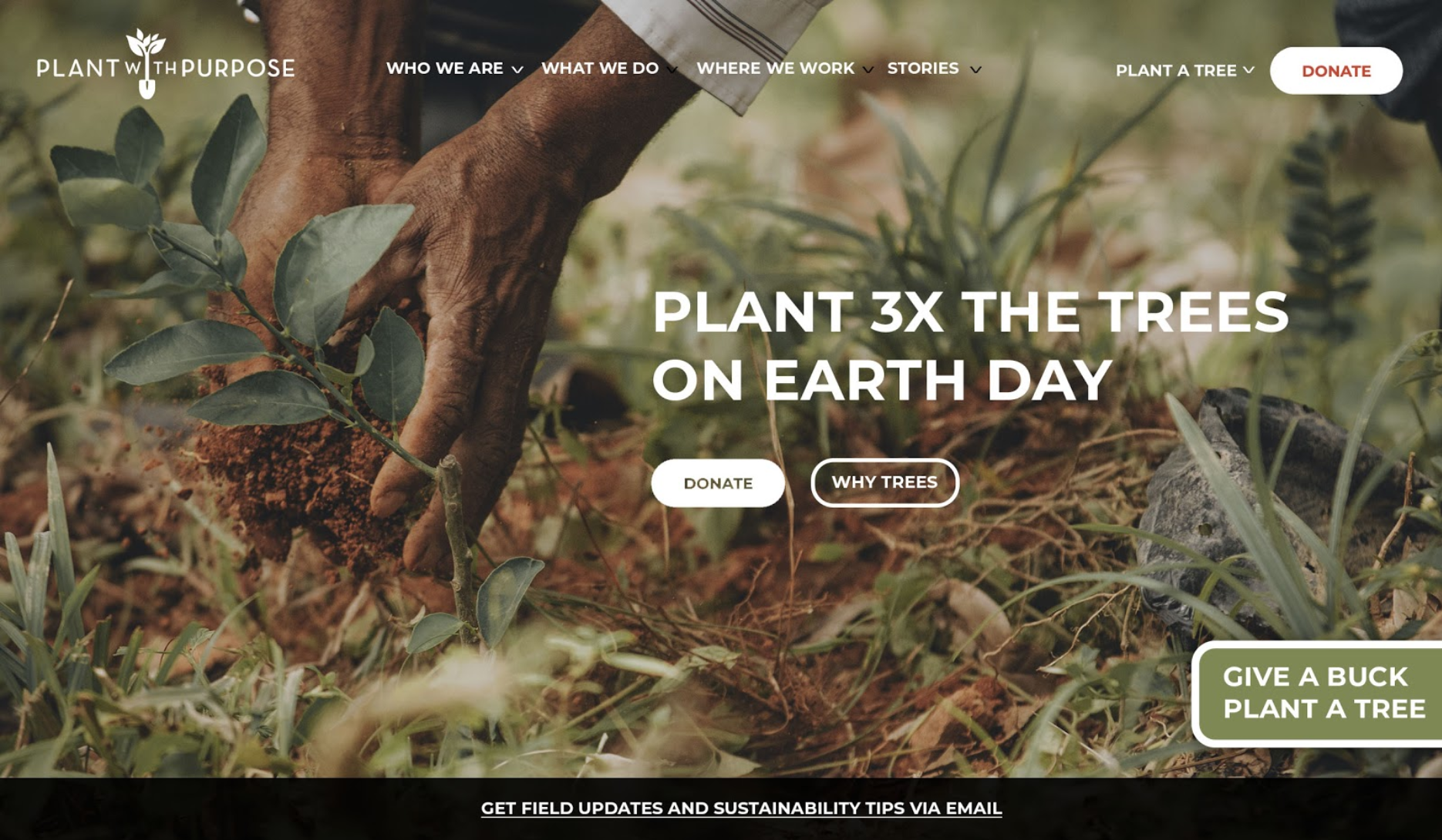 Website Concept