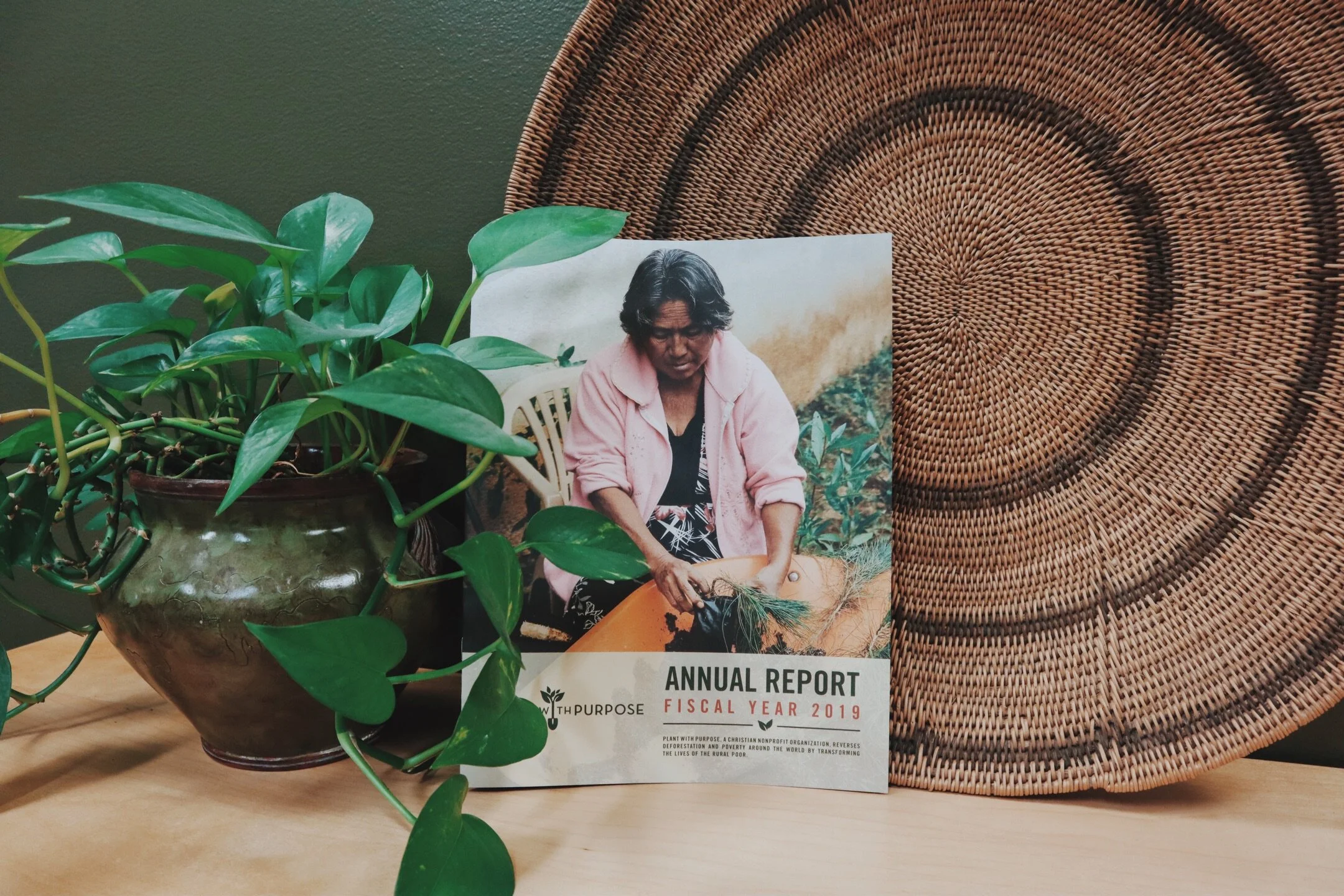 The 2020 Annual Report