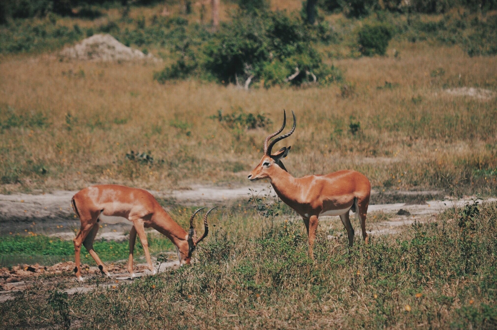 Prioritizing Adventure