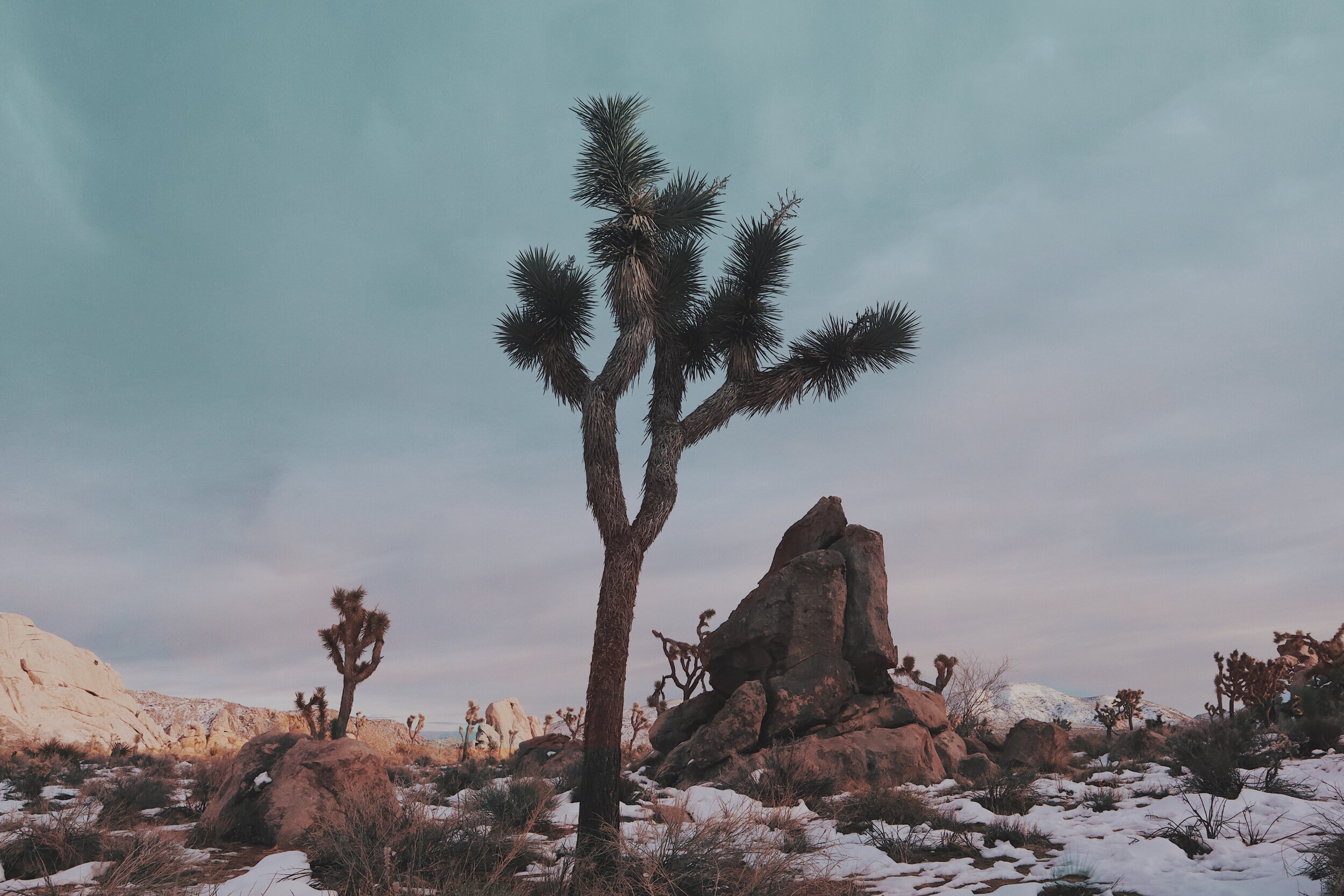 Earth Day: We're Part of It