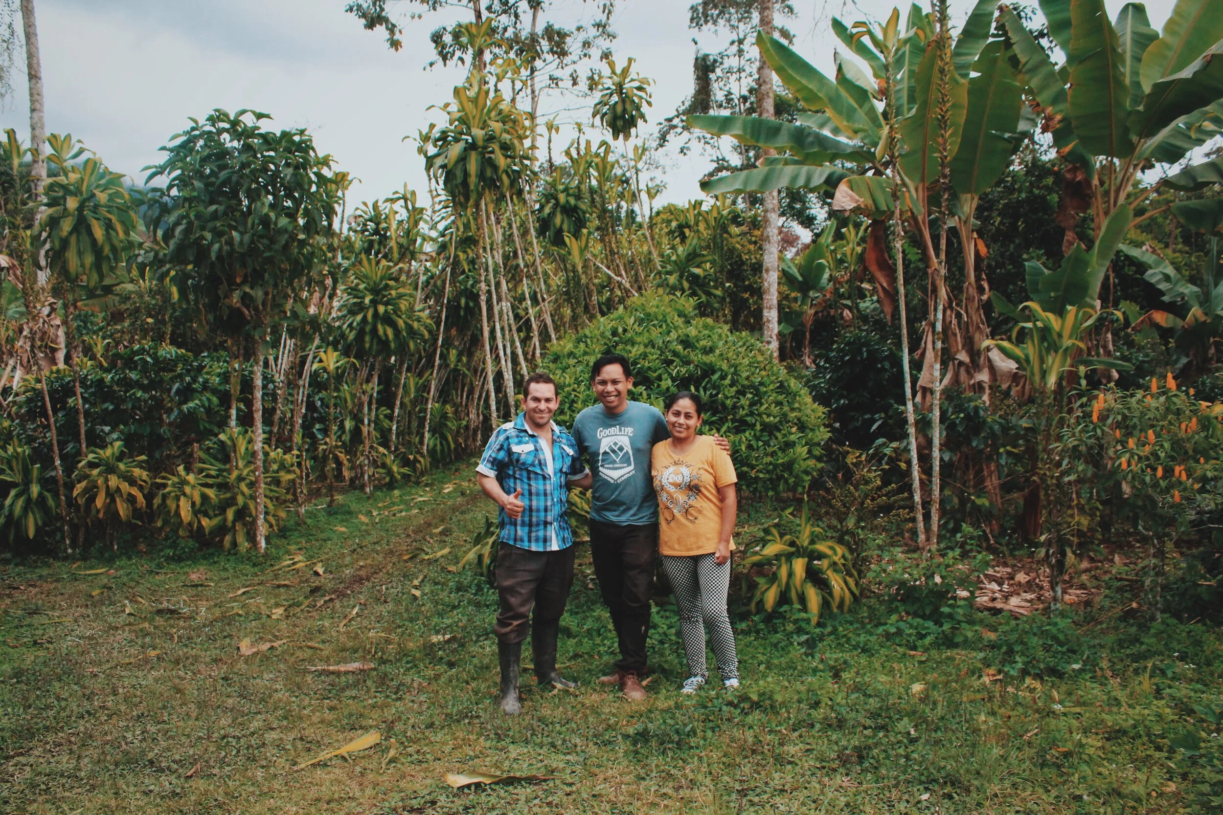 Last Year in Colombia