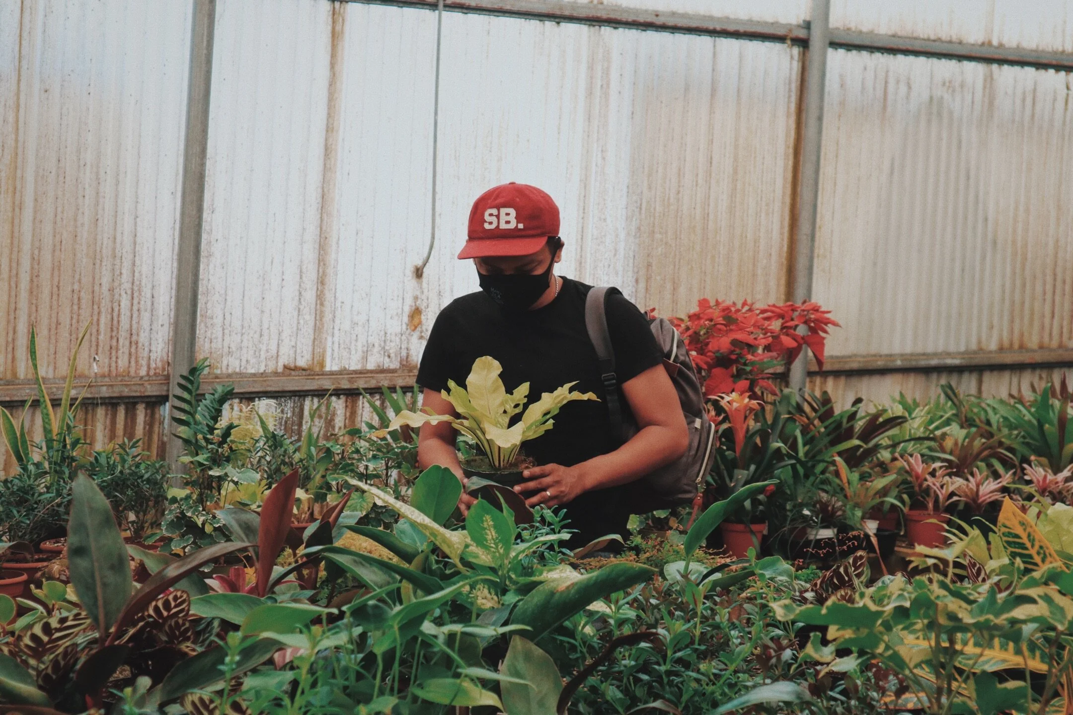 Hope and Toxic Positivity