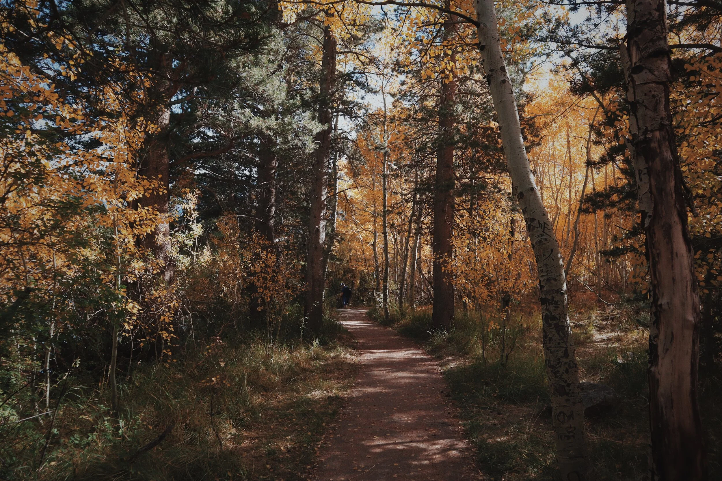 The Next Right Thing