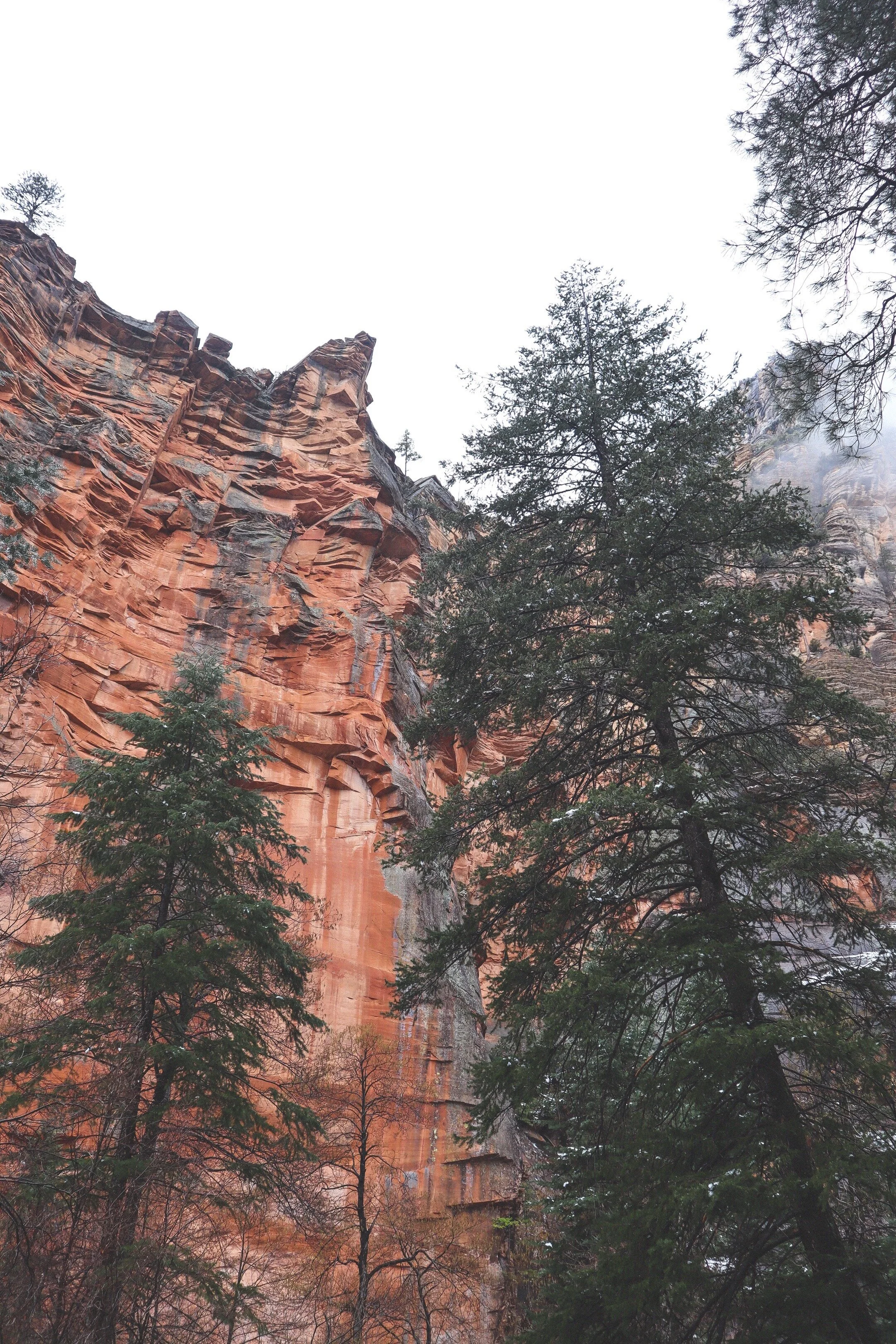 The Sedona Dog Park