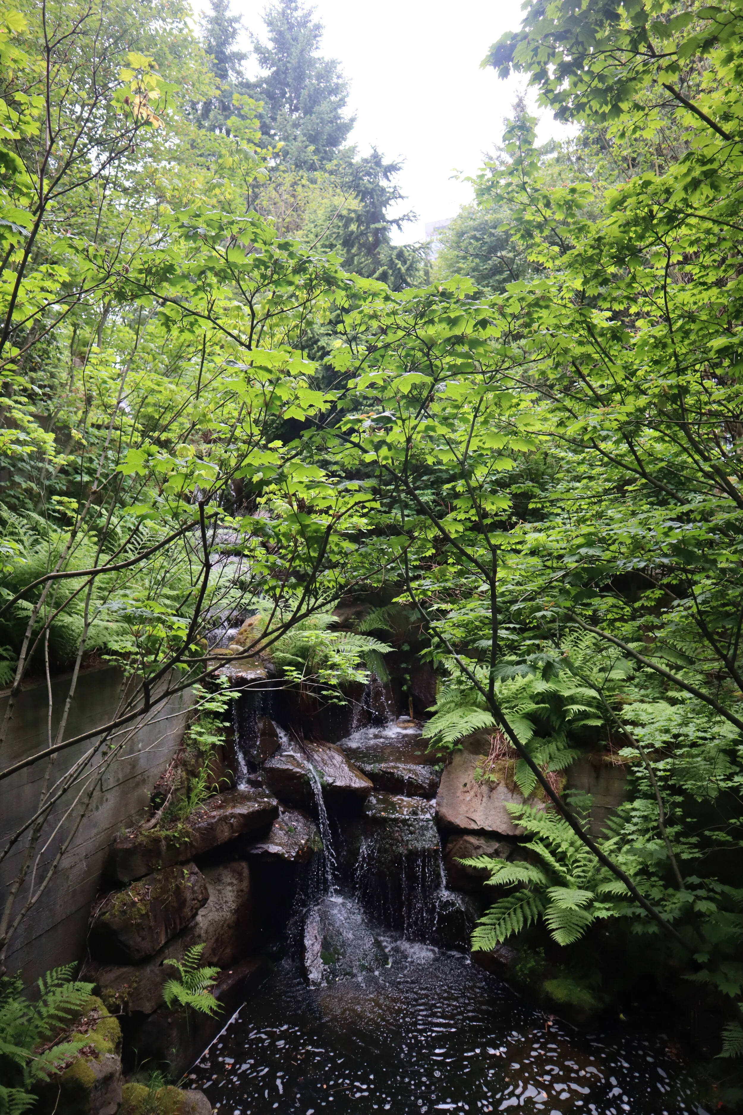 Climate Passion and Anxiety