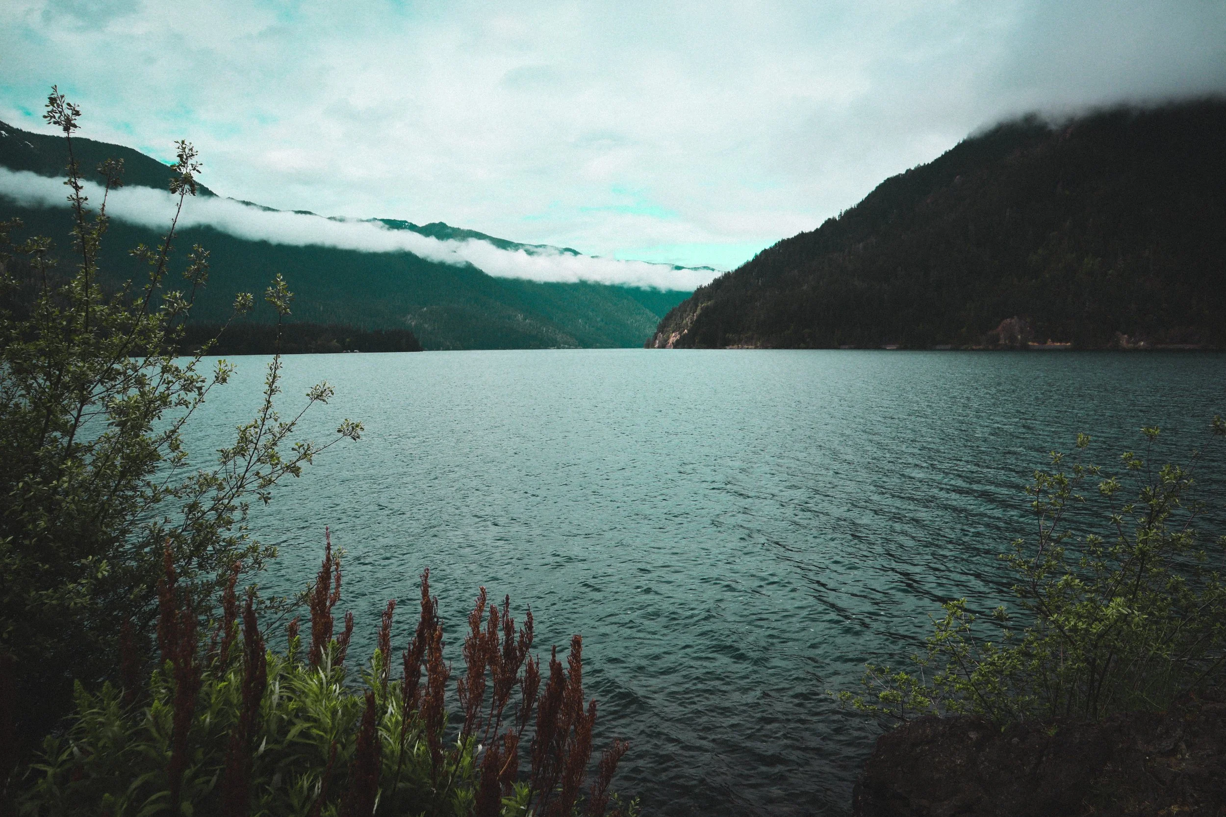 Idealist &amp; Strategist