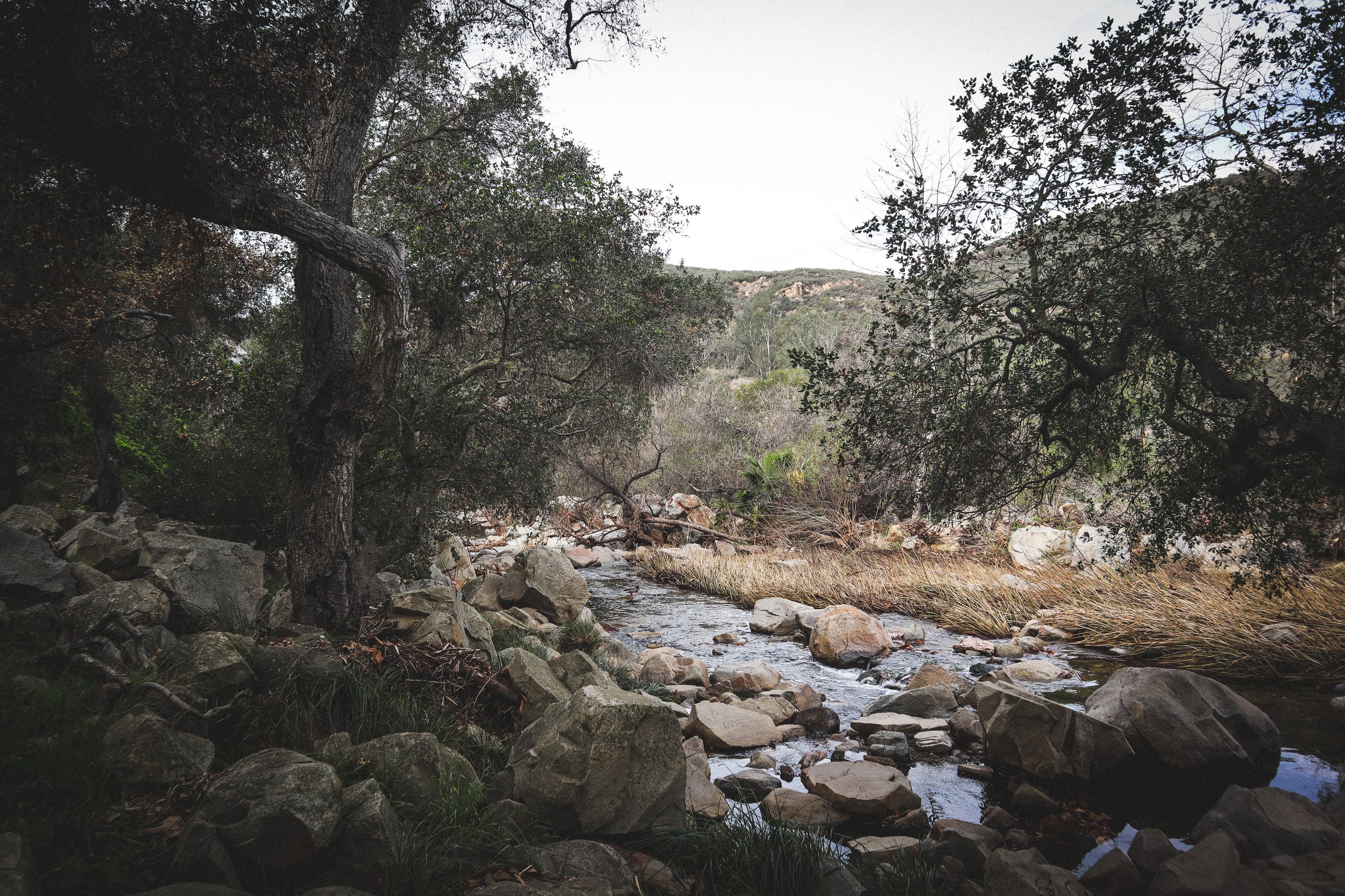 Charity, Ego, &amp; Boundaries