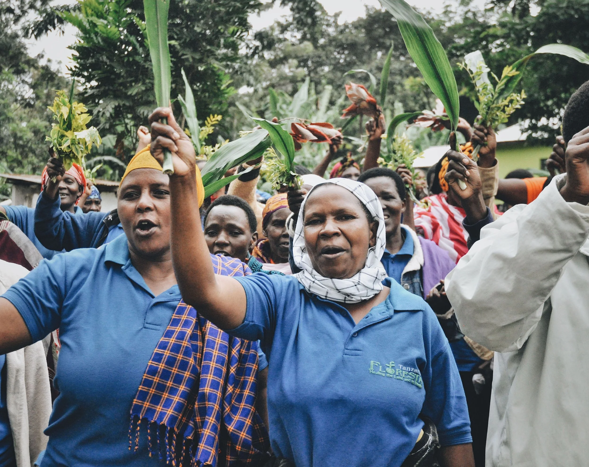 Climate's Frontlines