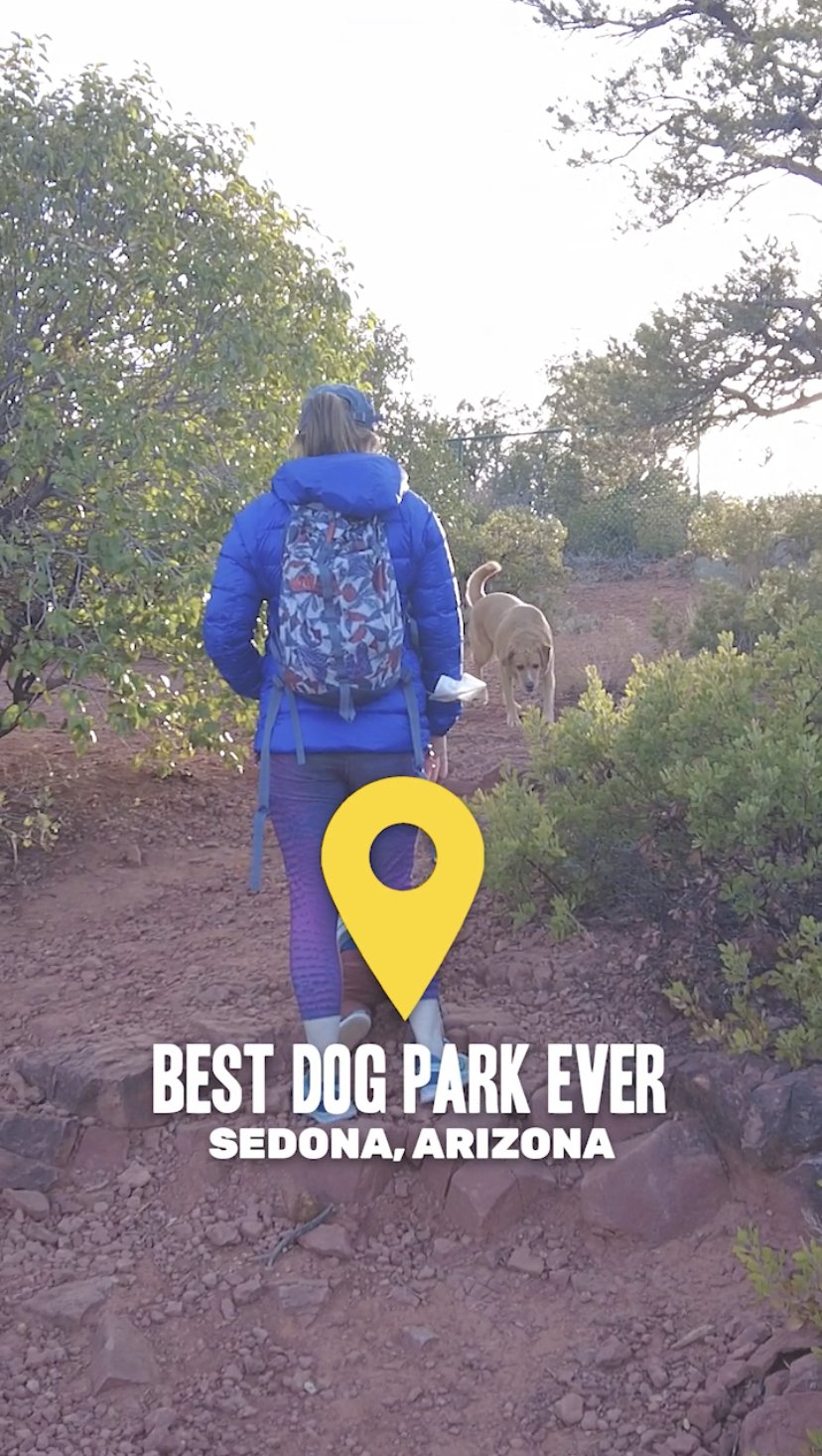Best Dog Park Ever