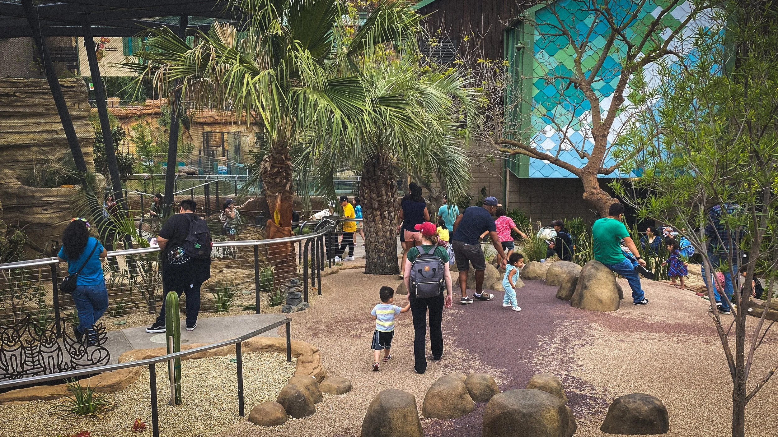 Zoo Afternoon