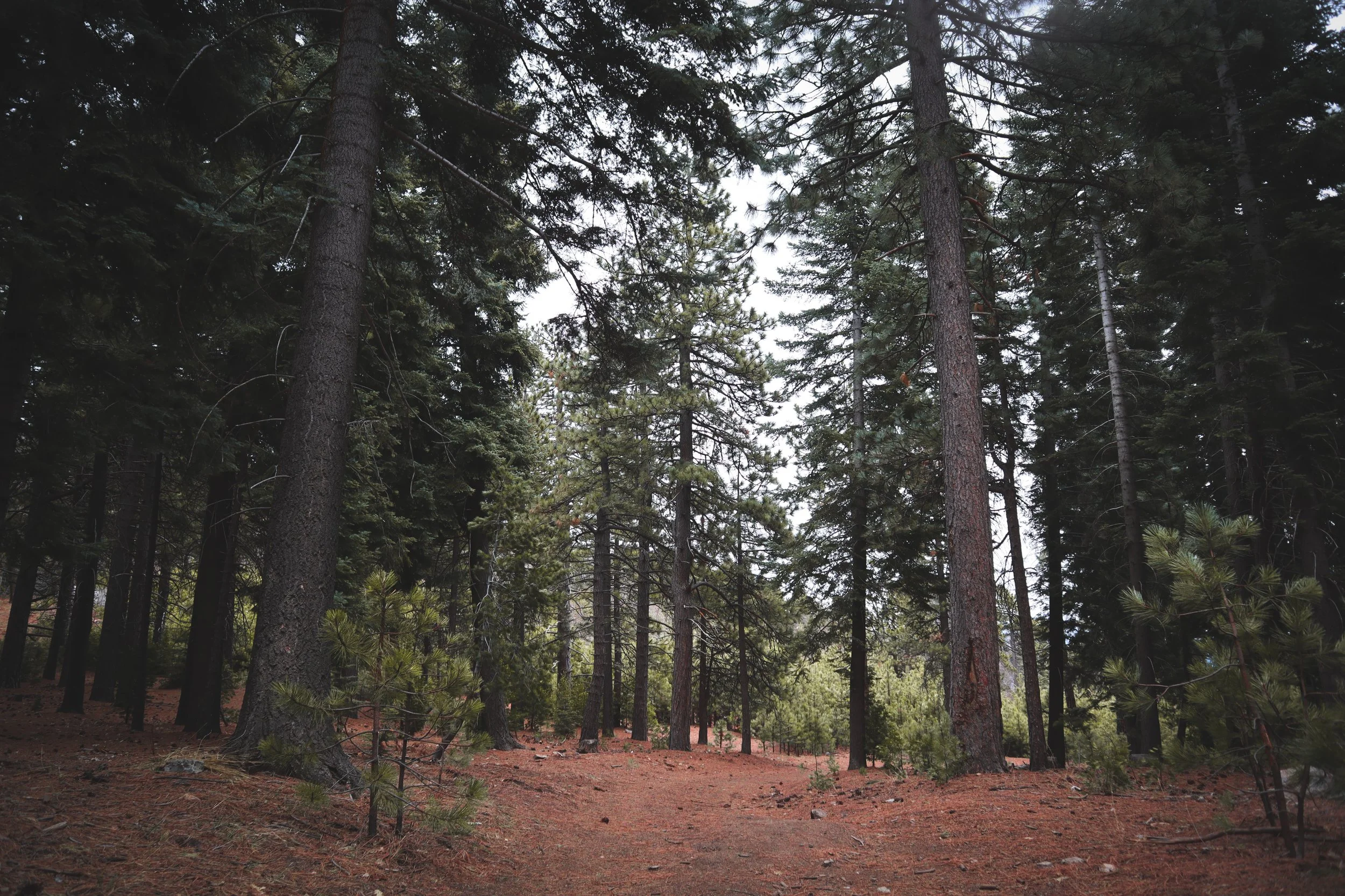 Clear's Law of Recurrence