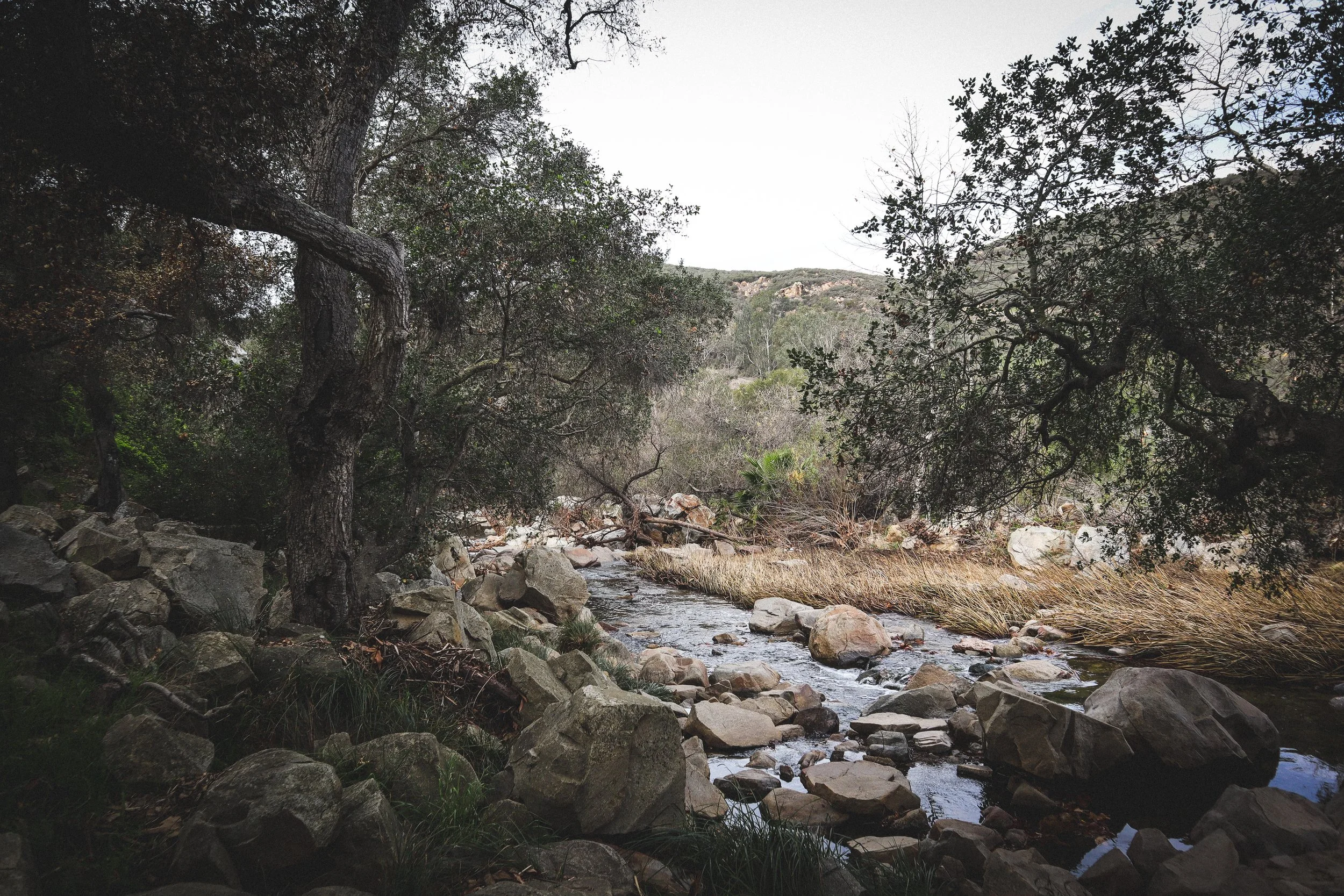 Six Americas of Global Warming