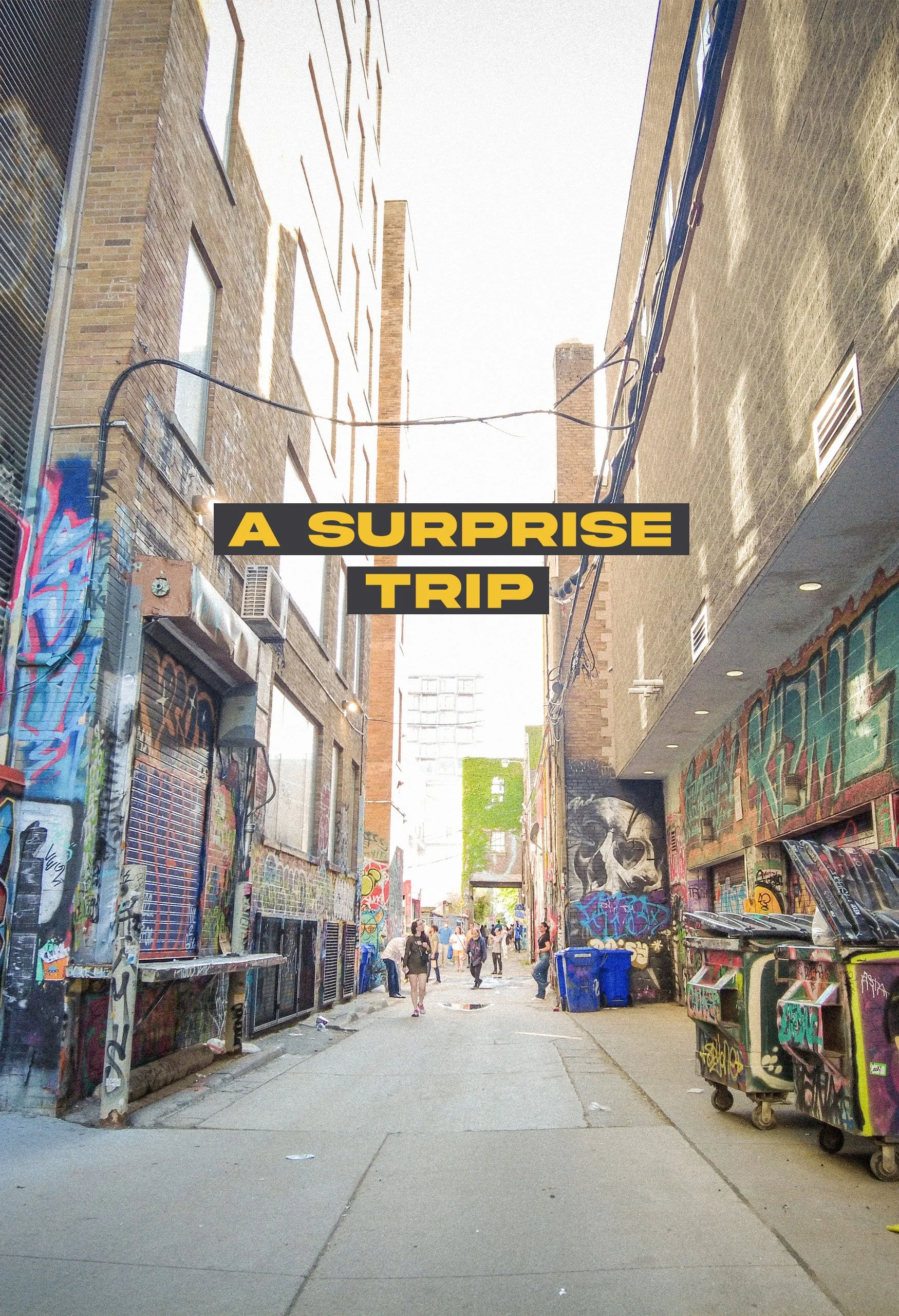 A Surprise Trip