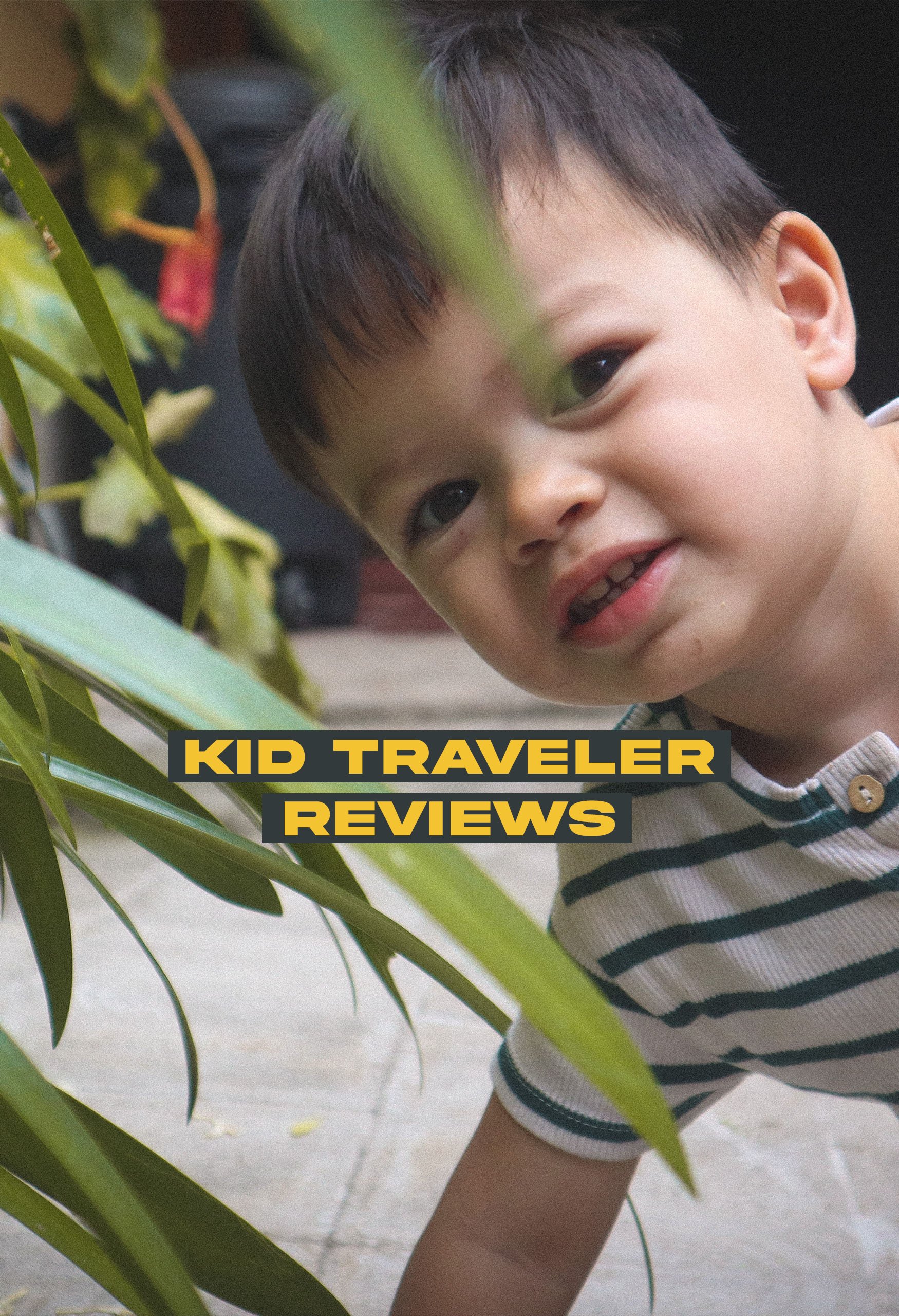 Kid Traveler Reviews
