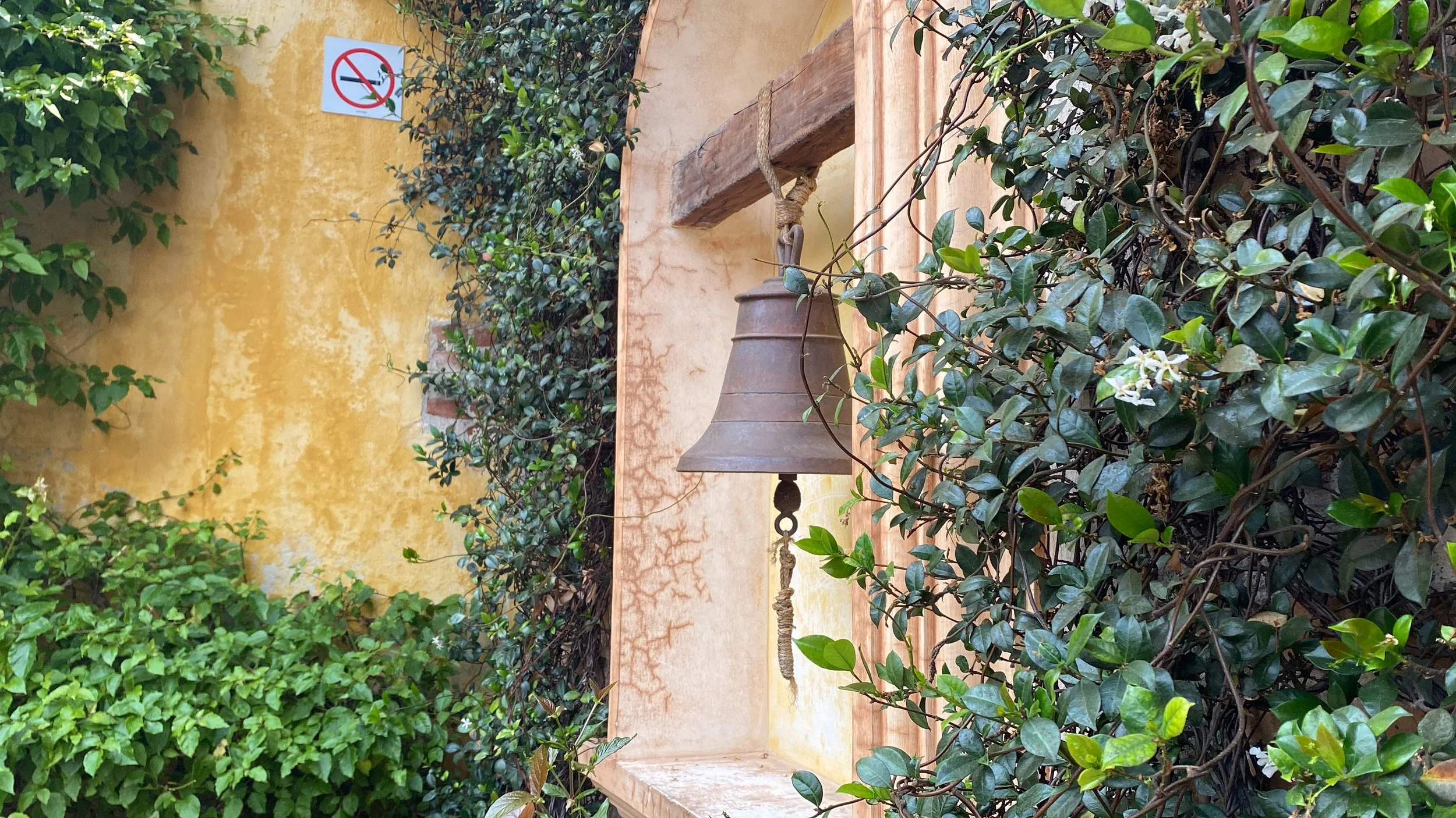 The Vibiest Taco Bell