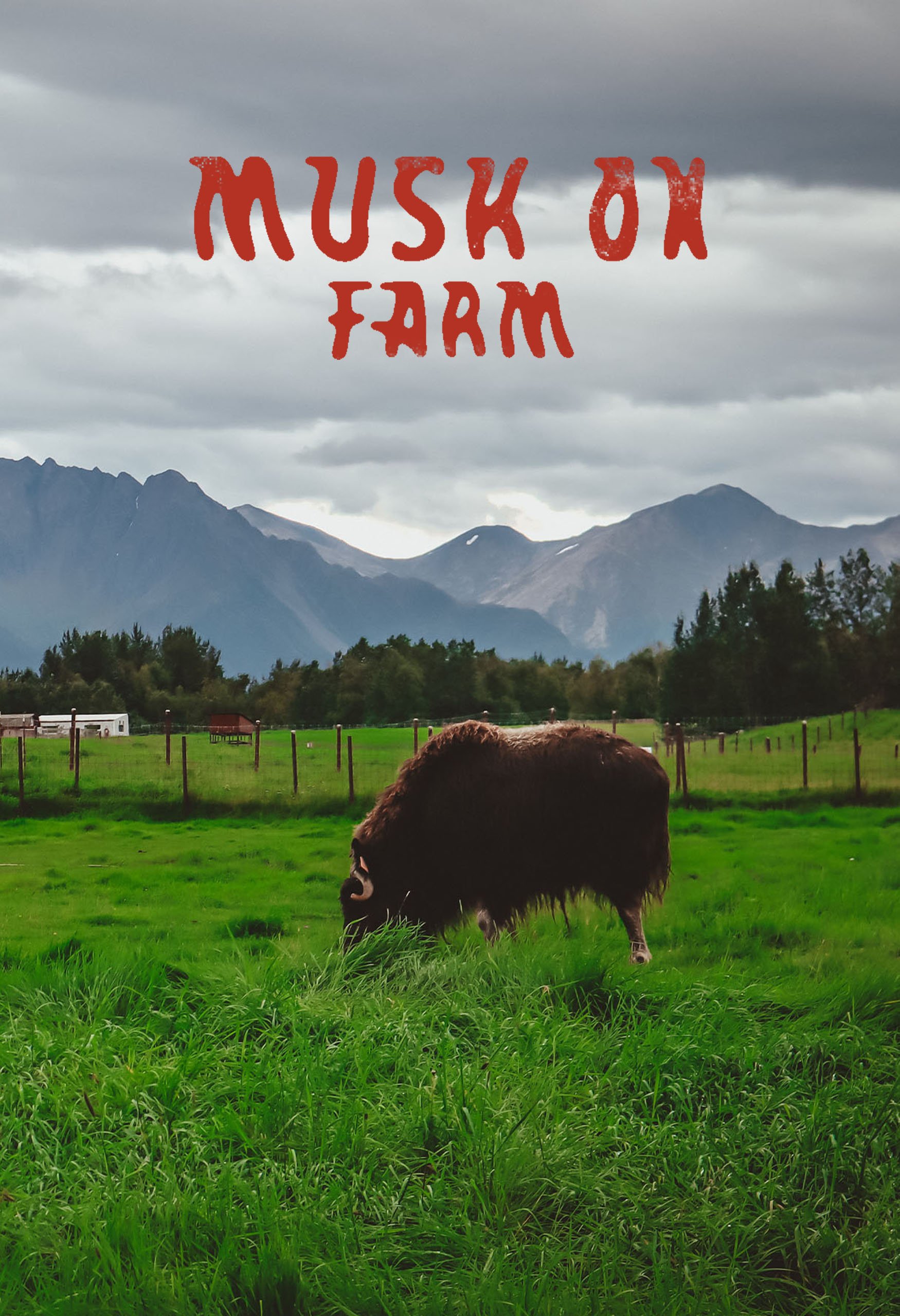 Musk Ox Farm