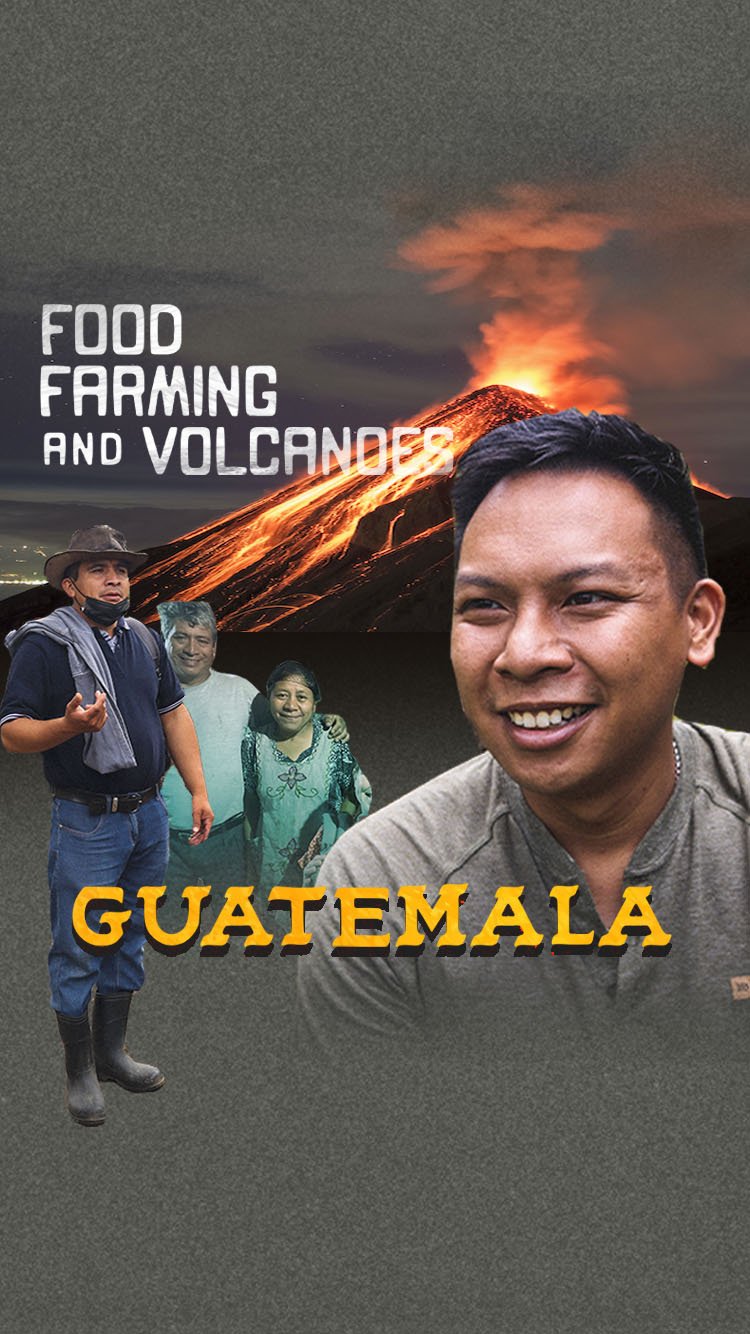 Food &amp; Farming in Guatemala