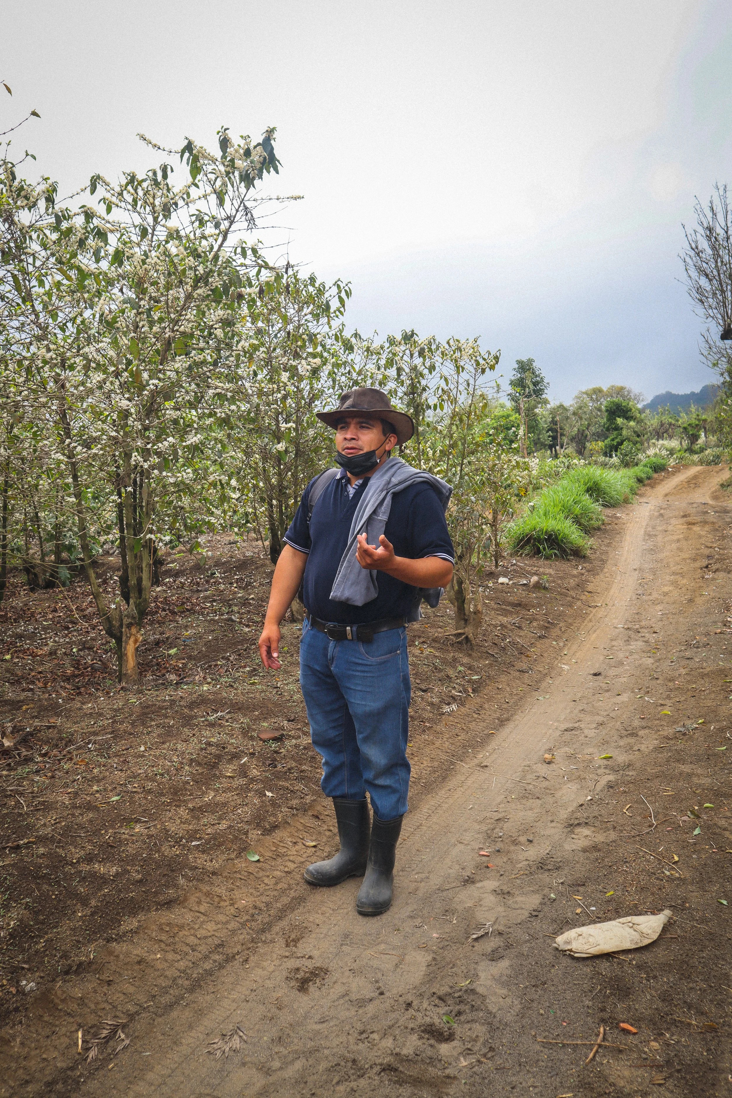 Everything in Balance