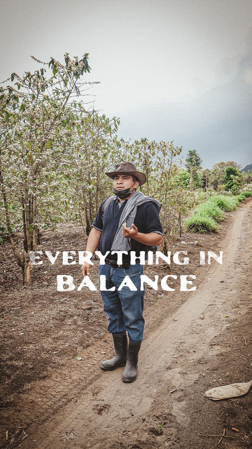 Everything in Balance