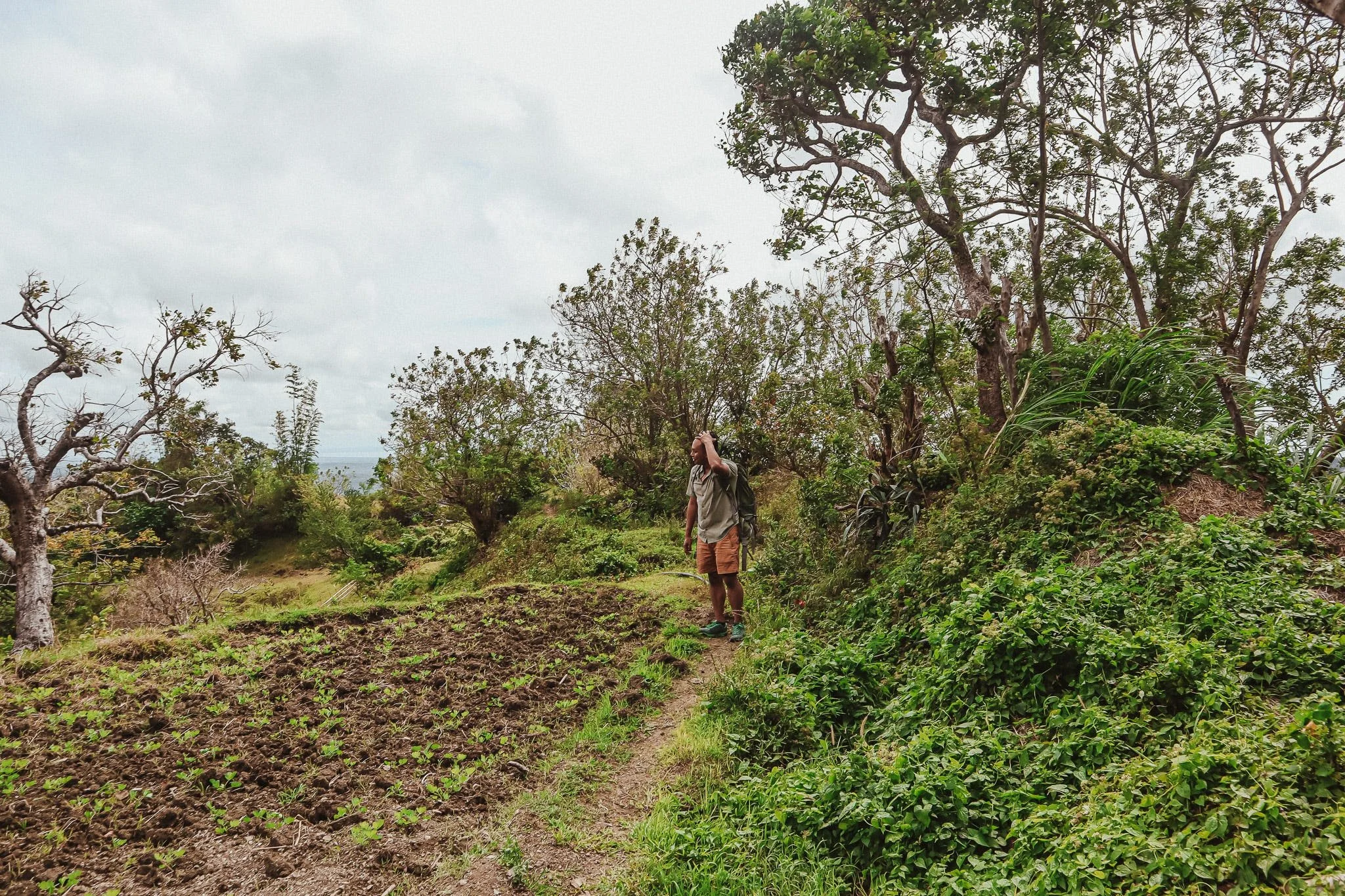 The mountain exists. Now can I scale it?