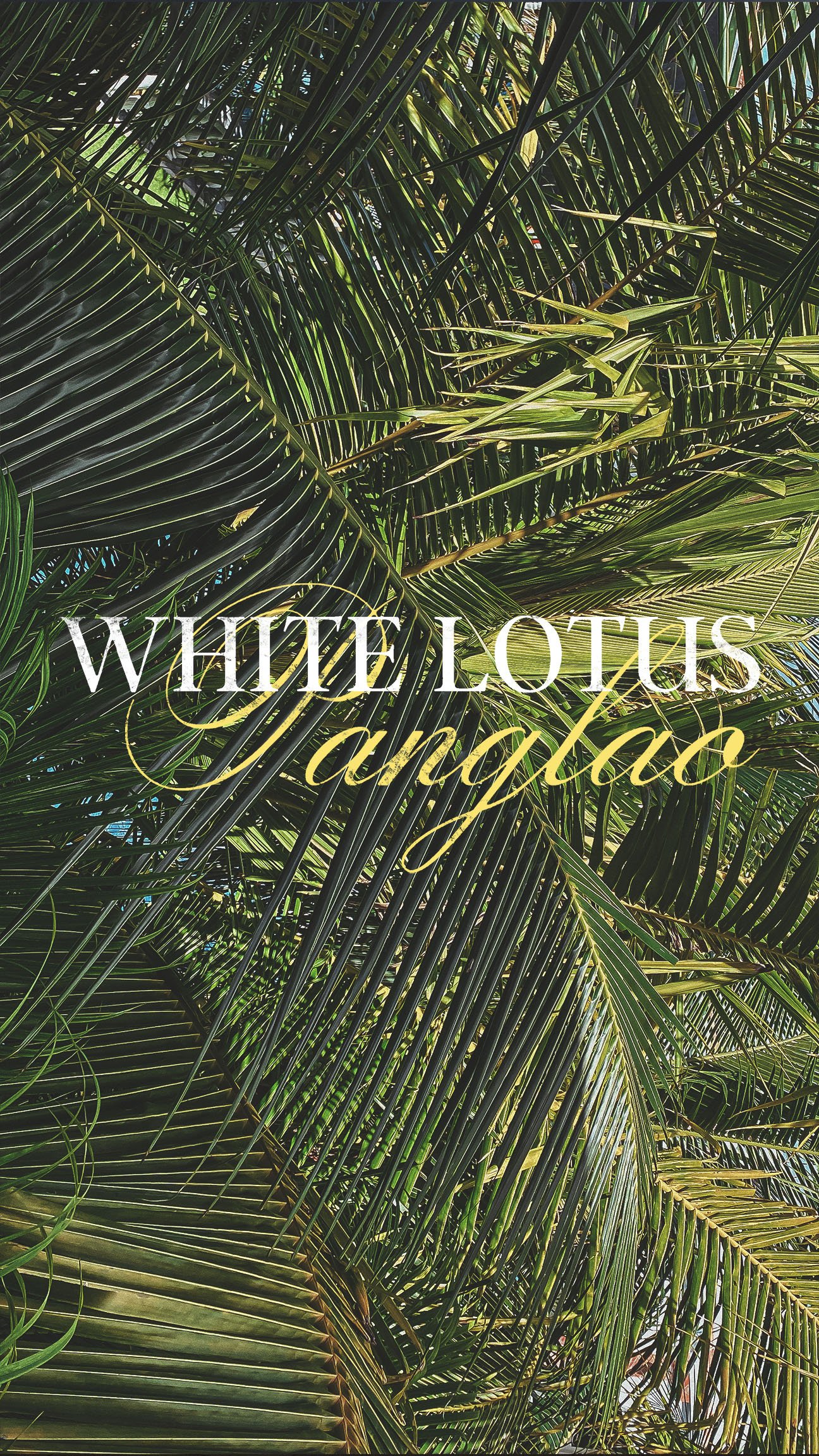 White Lotus Panglao