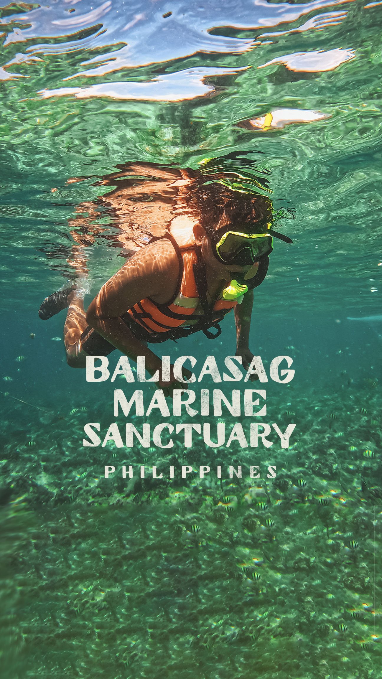 Balicasag Marine Sanctuary