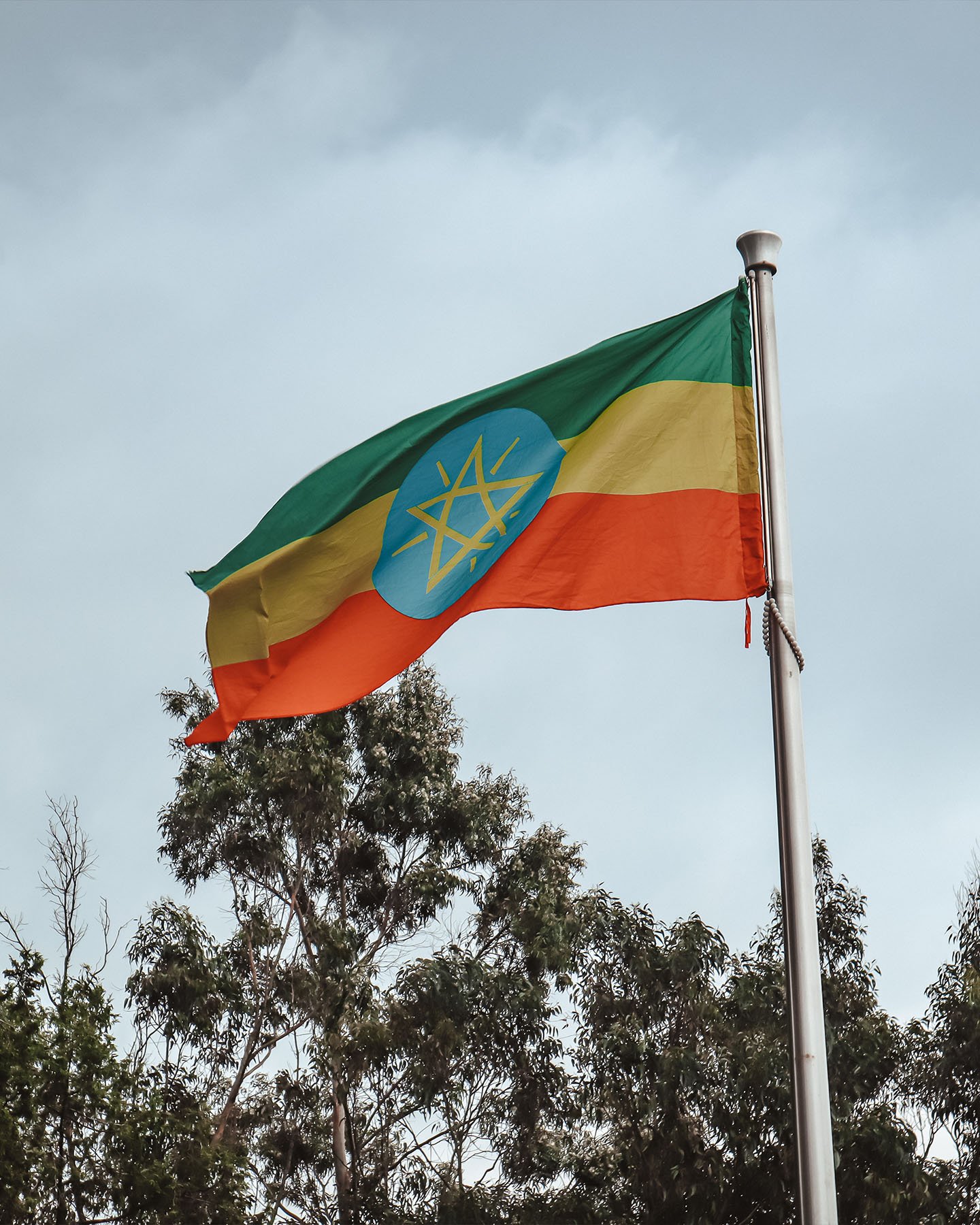 Warm Heart of Addis Ababa 7.jpg