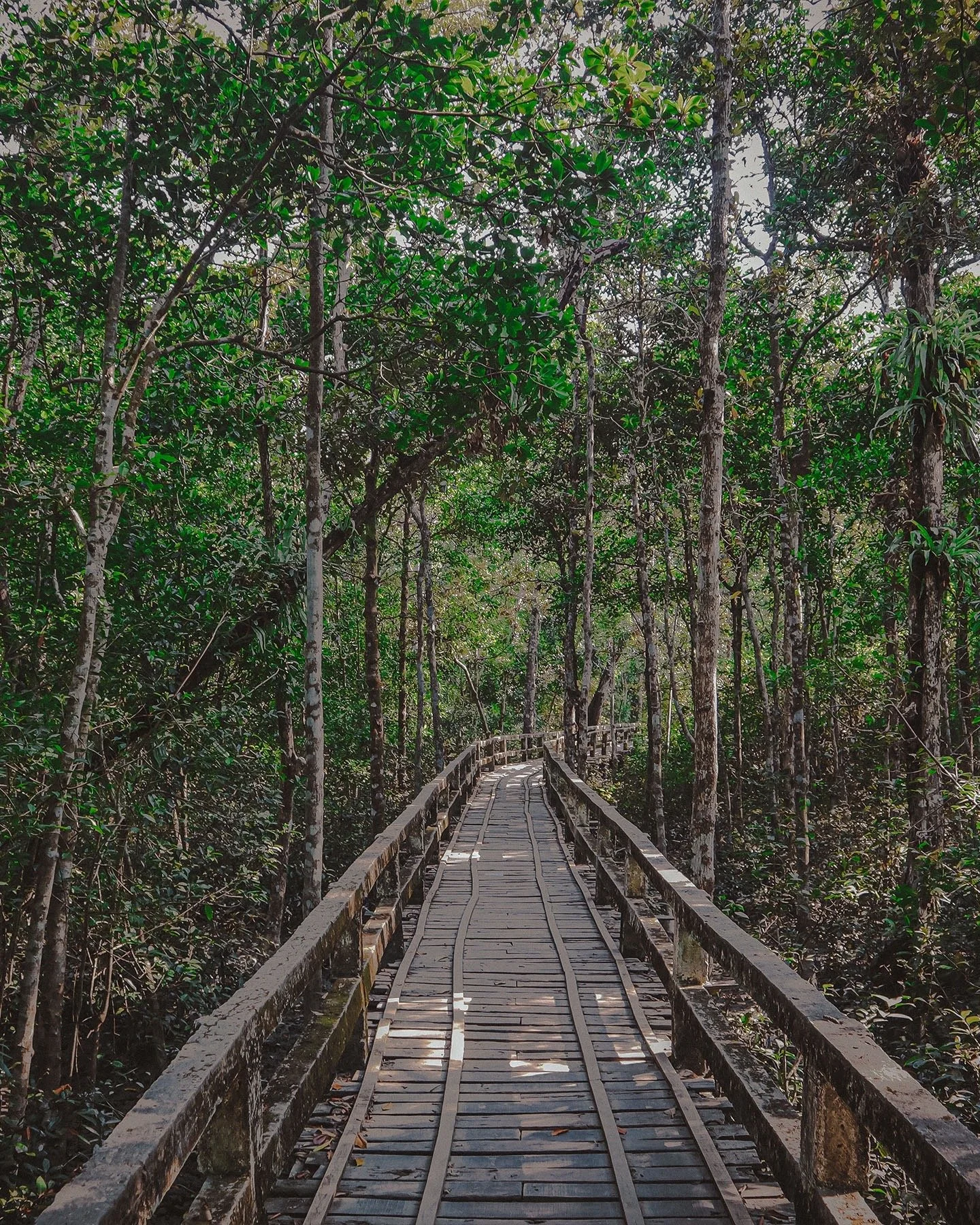 Time in the Sundarbans
