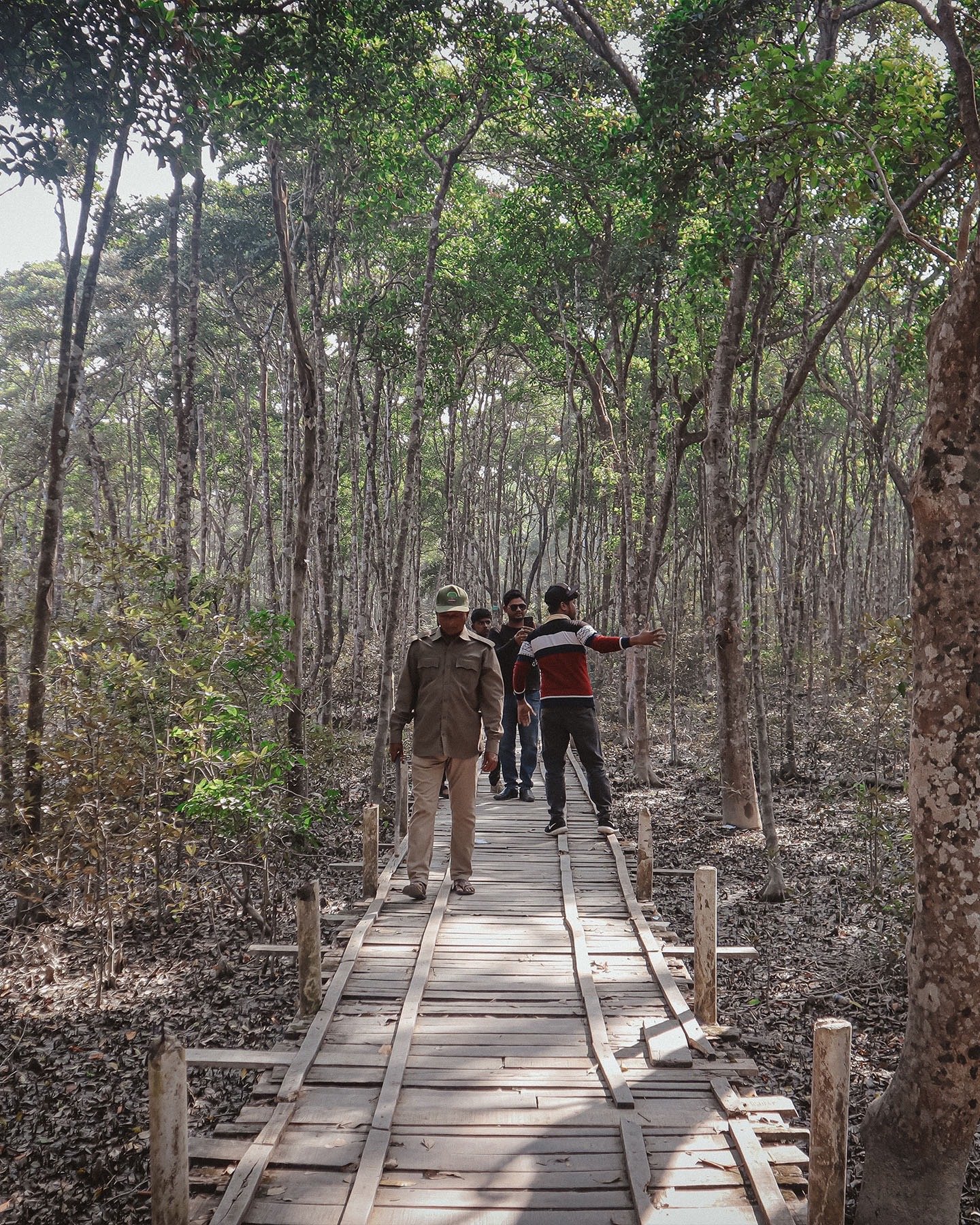 Time in the Sundarbans