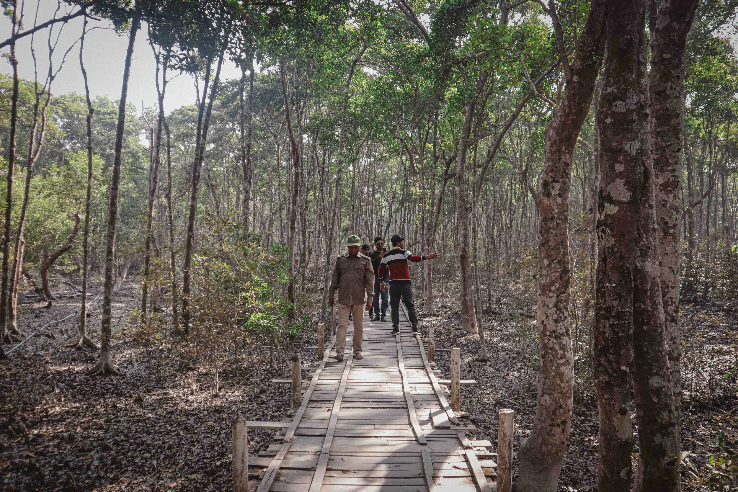 These Are the Sundarbans