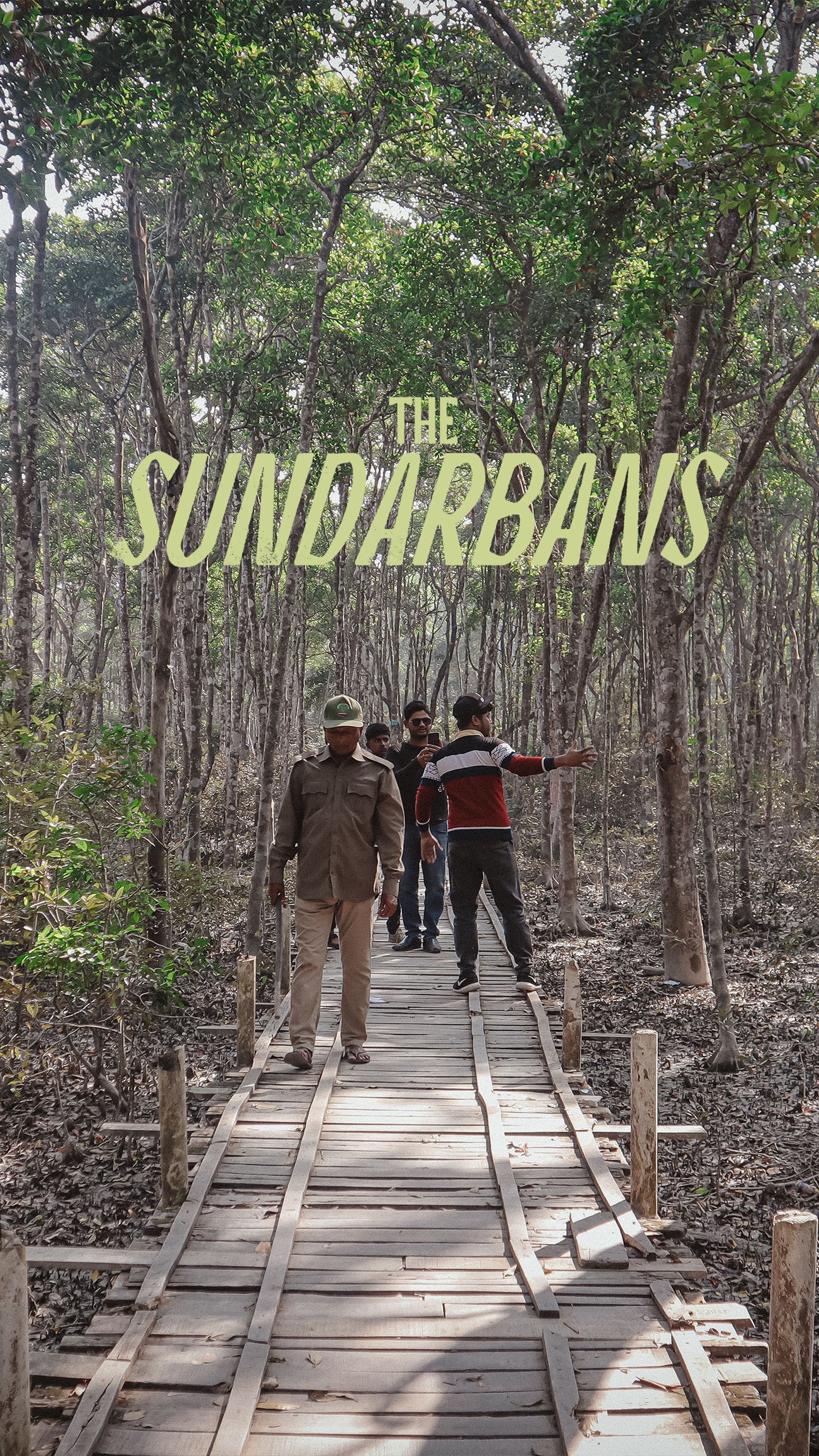 These Are the Sundarbans