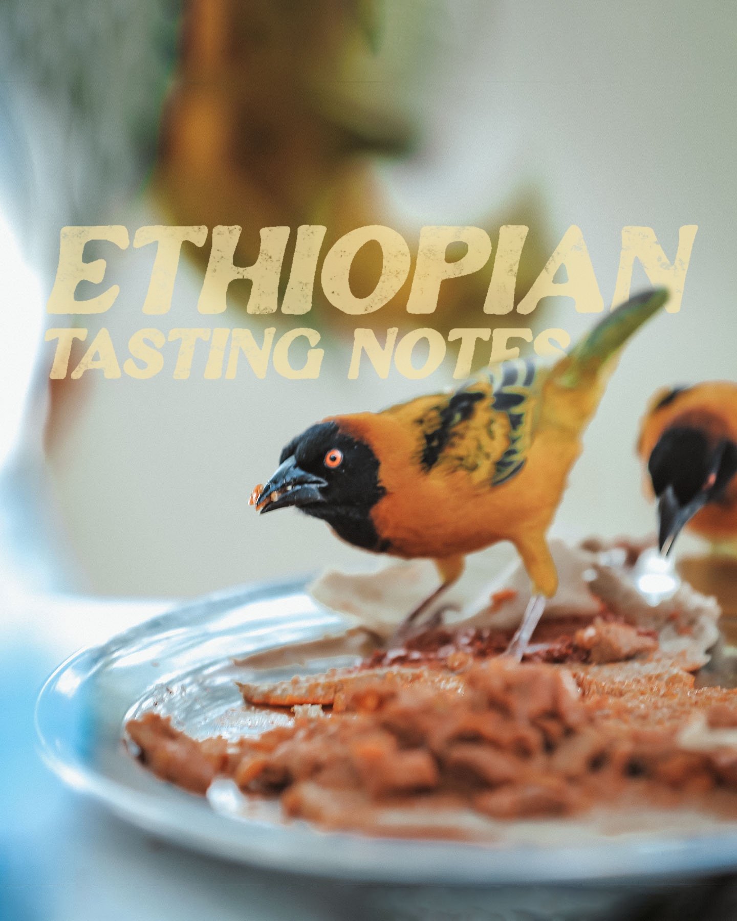 Ethiopian Tasting Notes