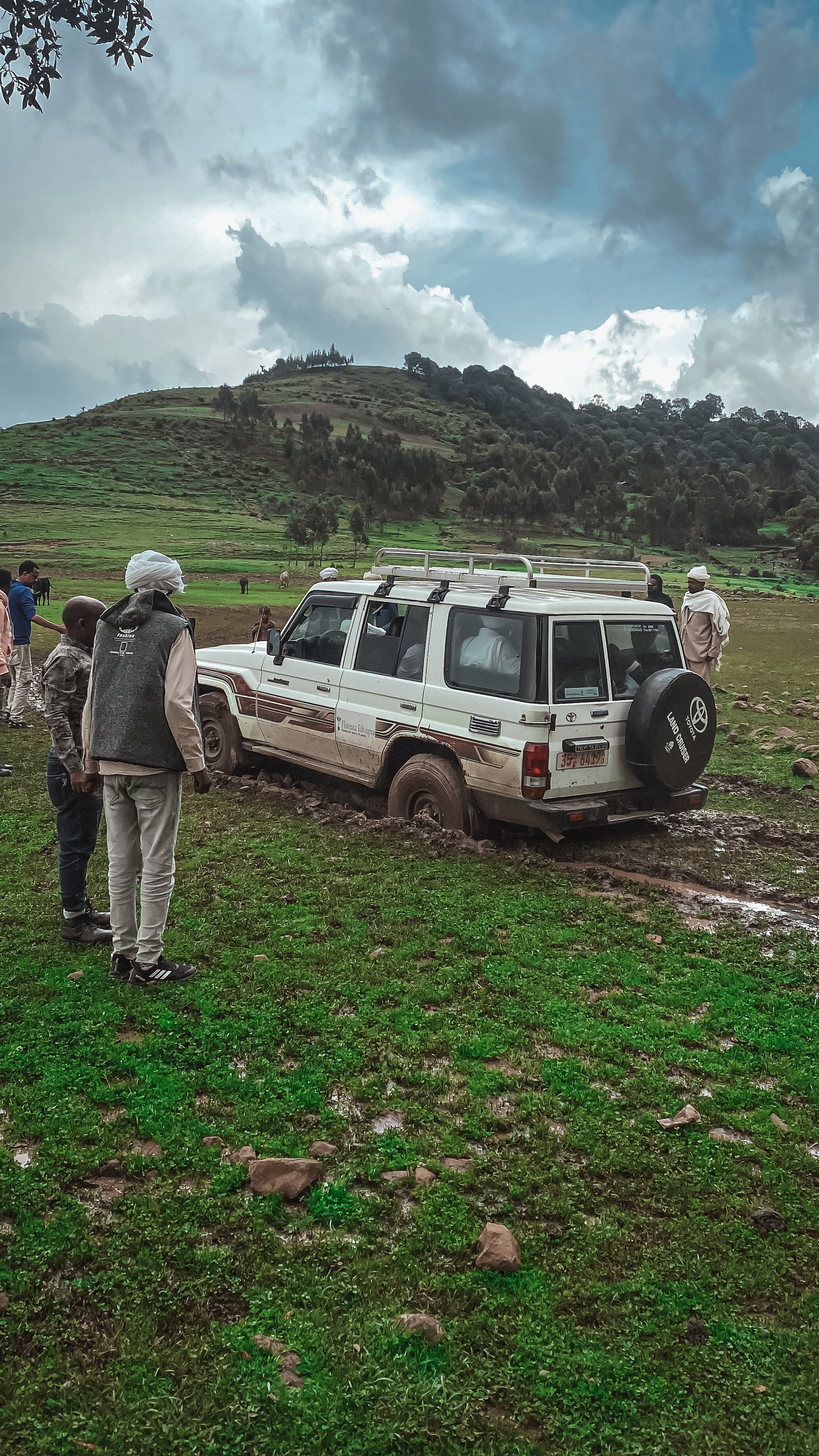 Stuck in the Mud