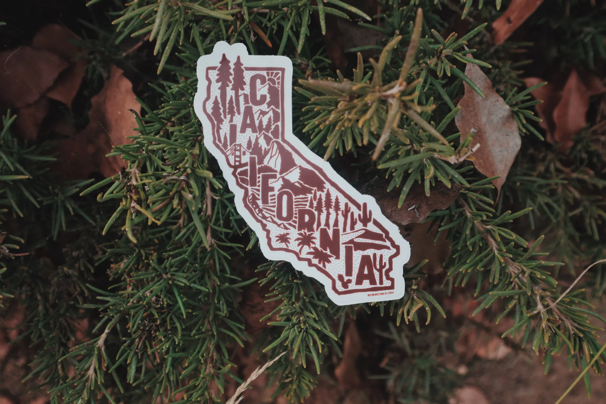 Living in California