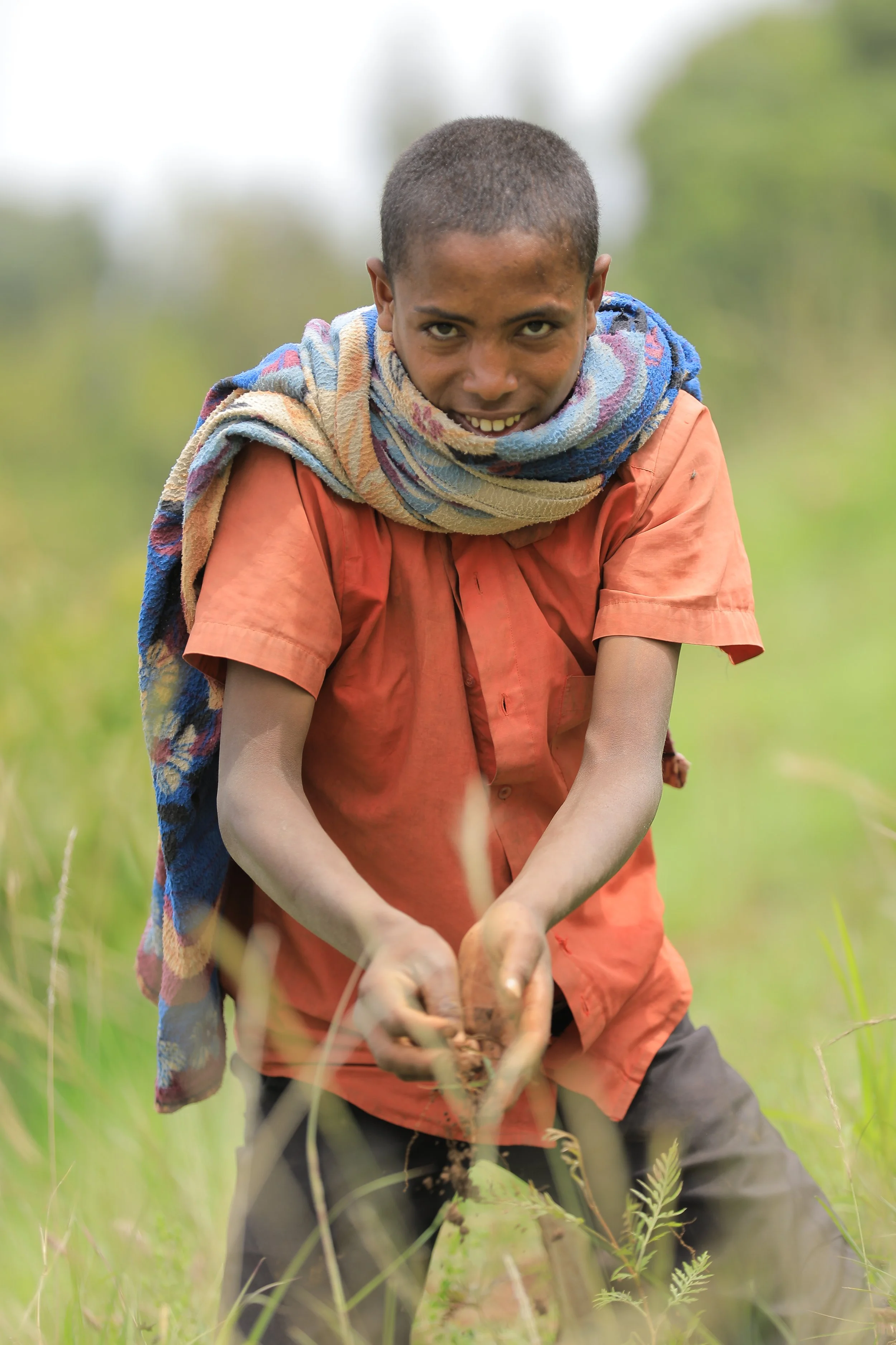 A Tree Planting Campaign