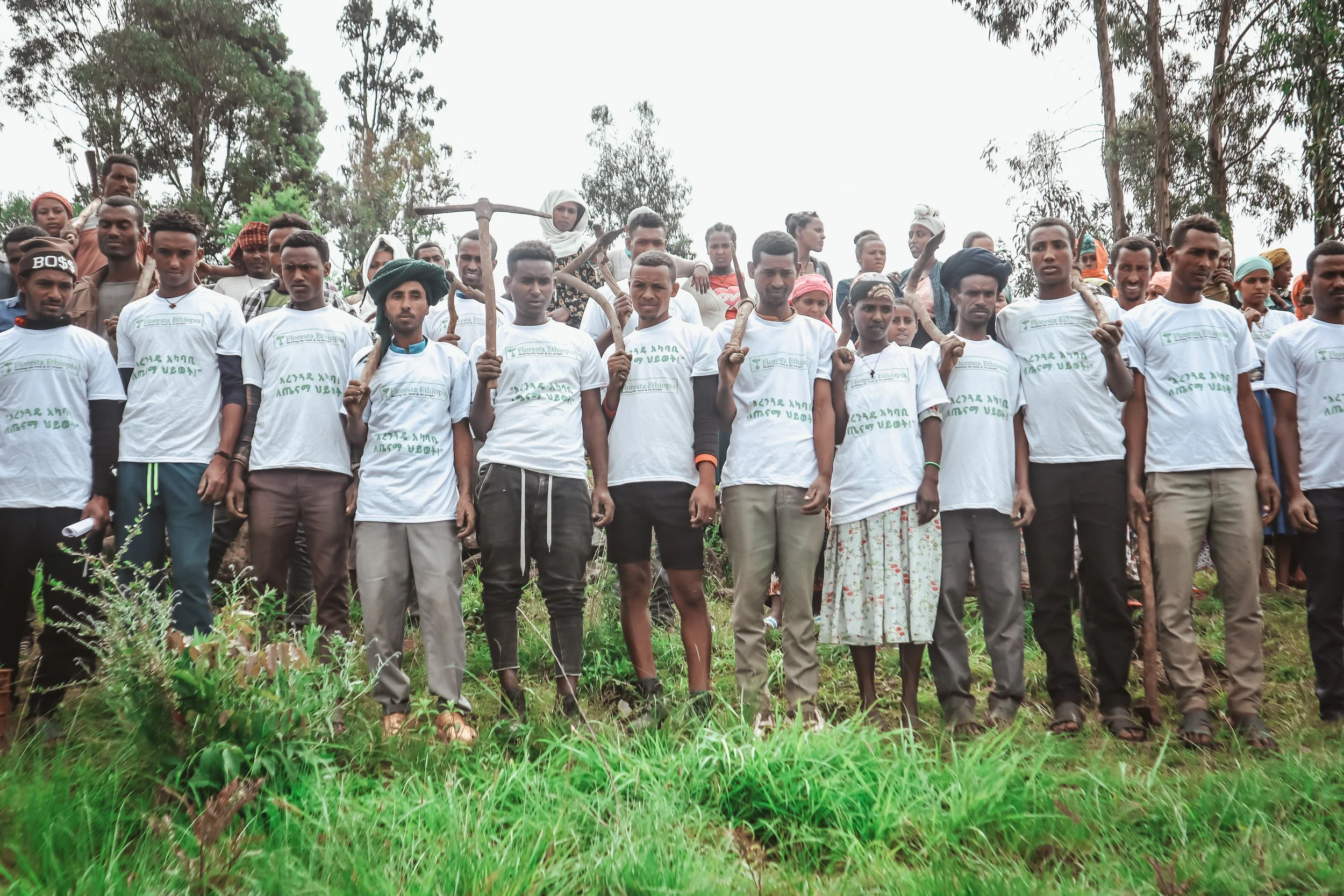 So you want to plant trees