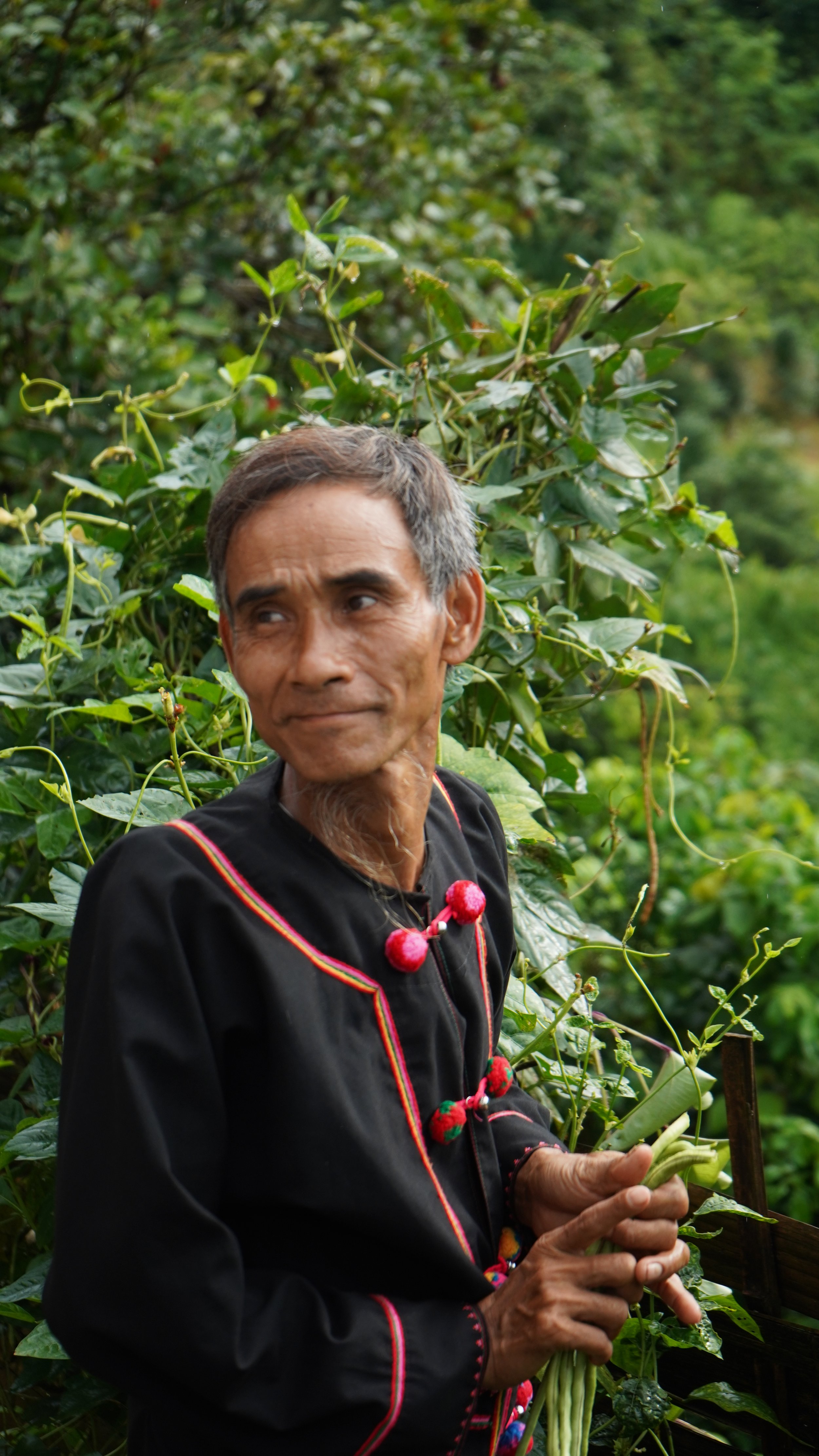 Return to the Forestkeepers