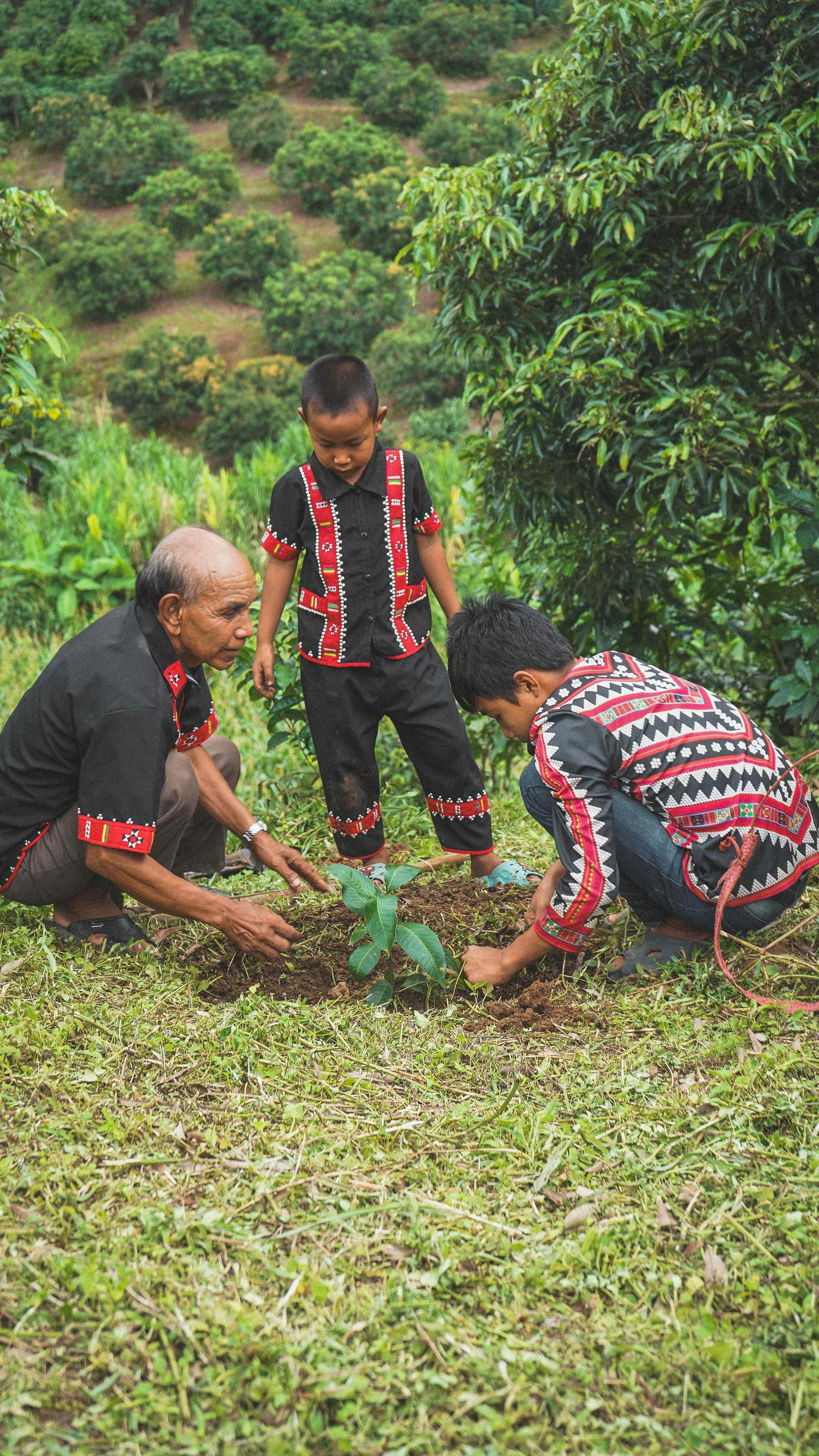 The Yapa Family
