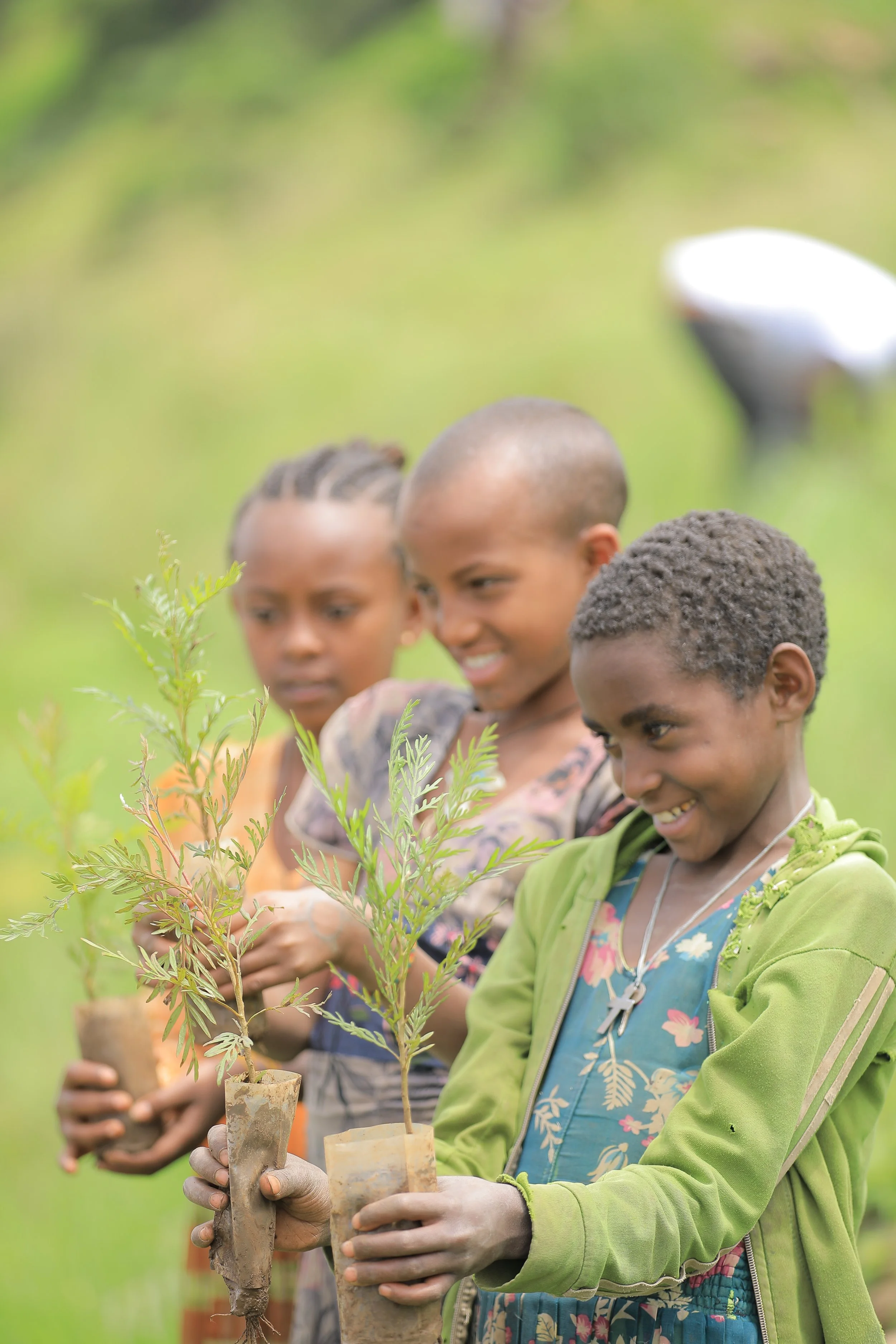 Planting Native Trees