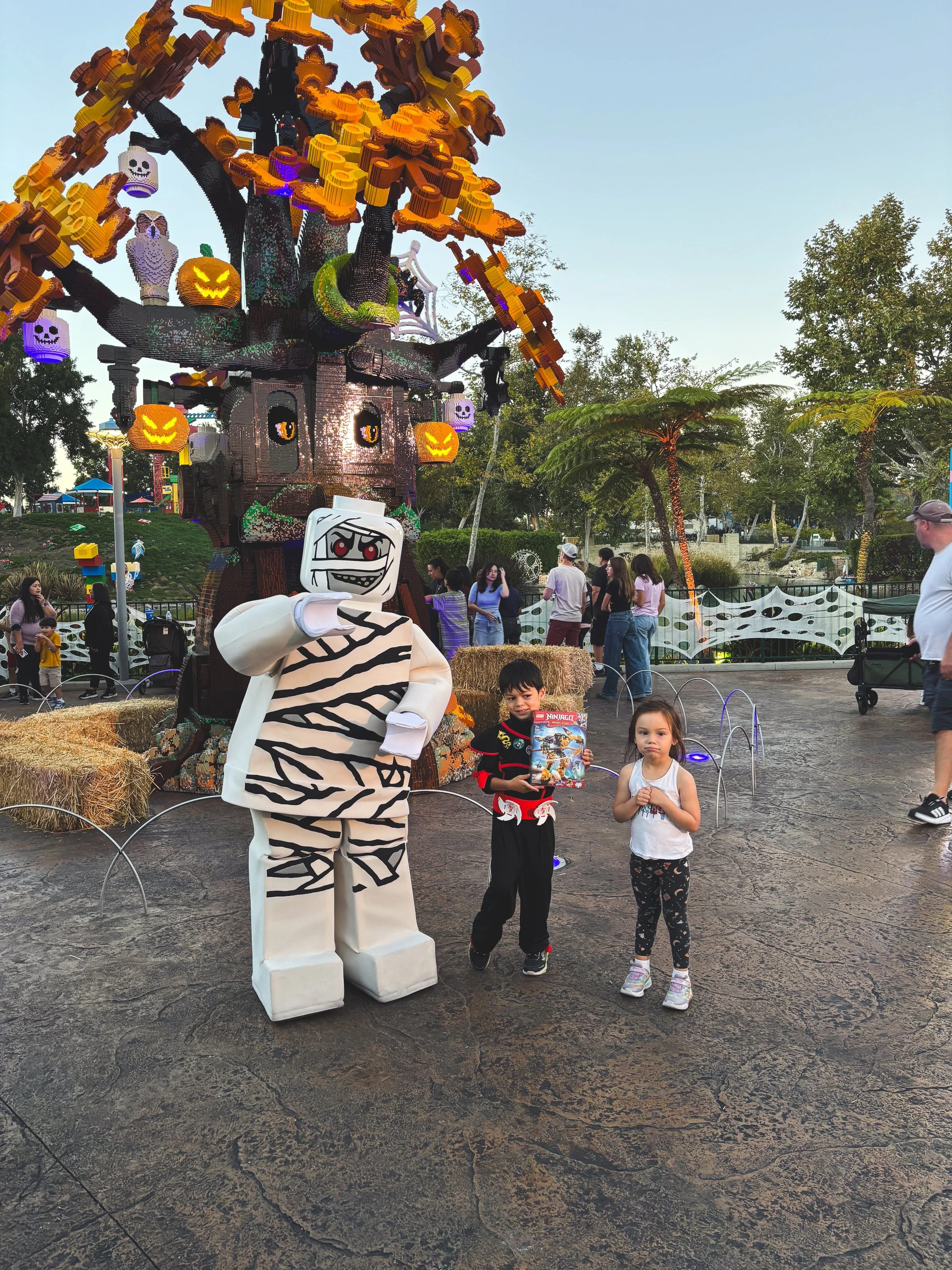 IMG_3859.jpg