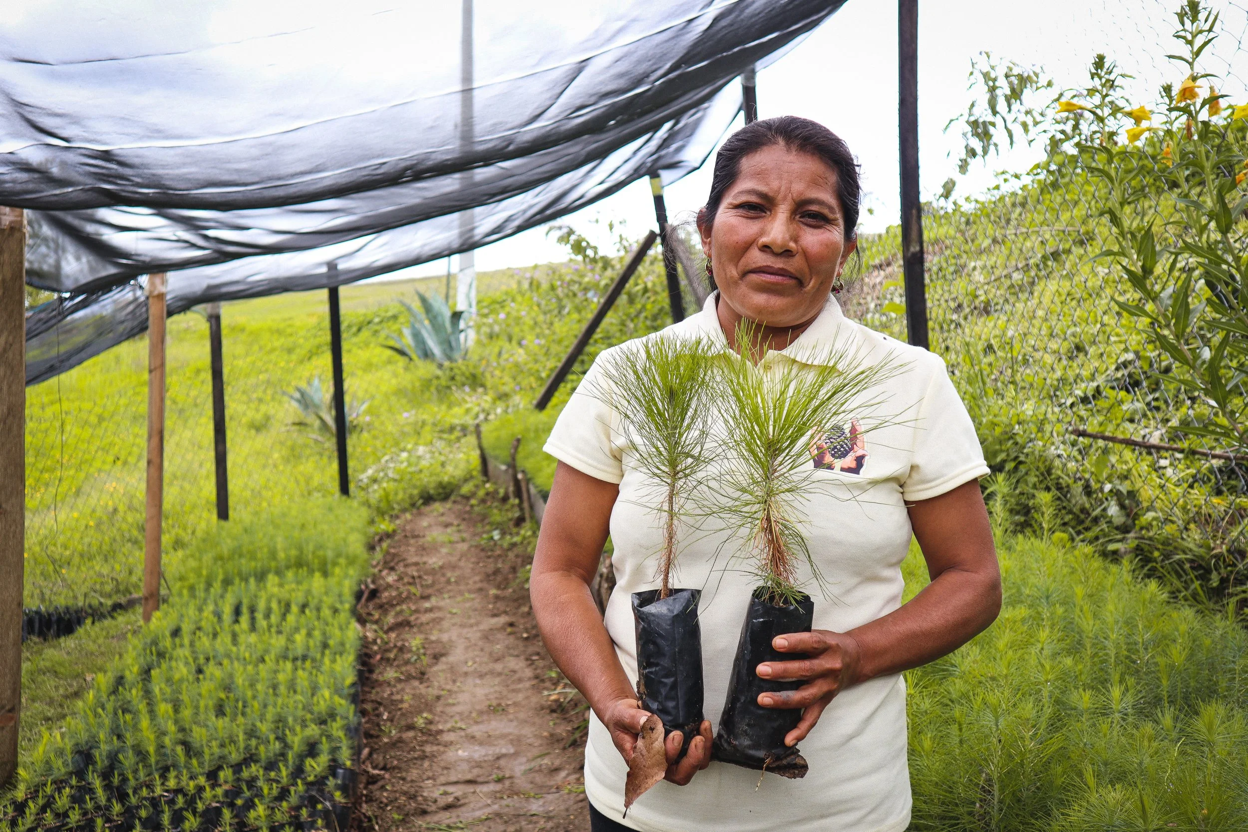 Imperfect Climate Action