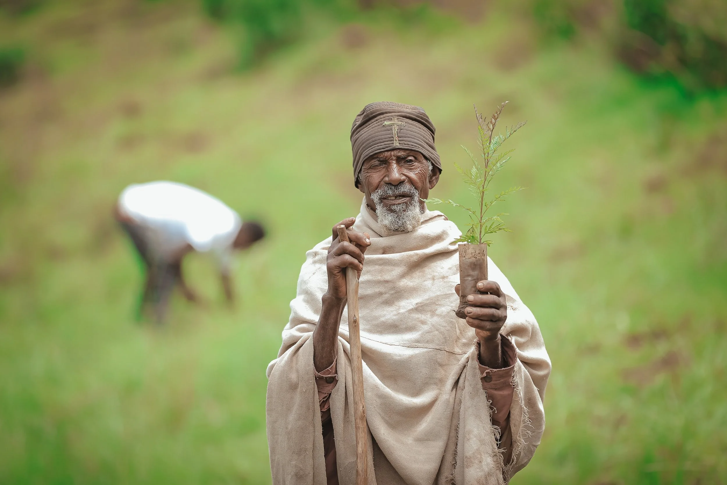 Church Forests of Ethiopia