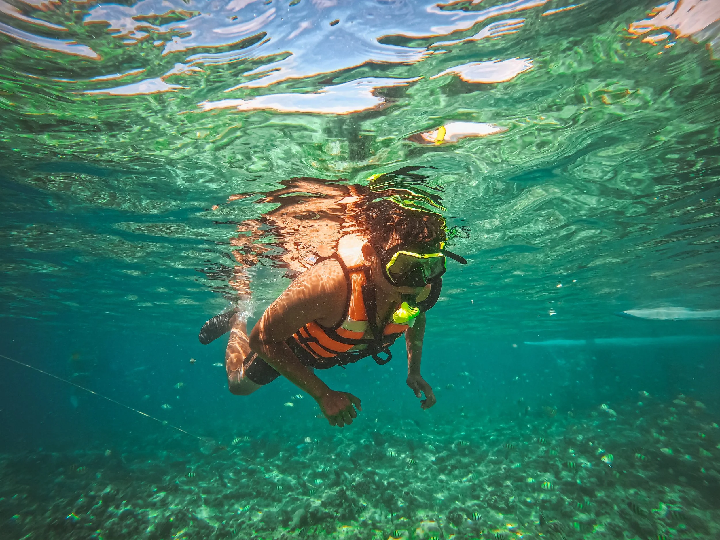 Balicasag Marine Sanctuary