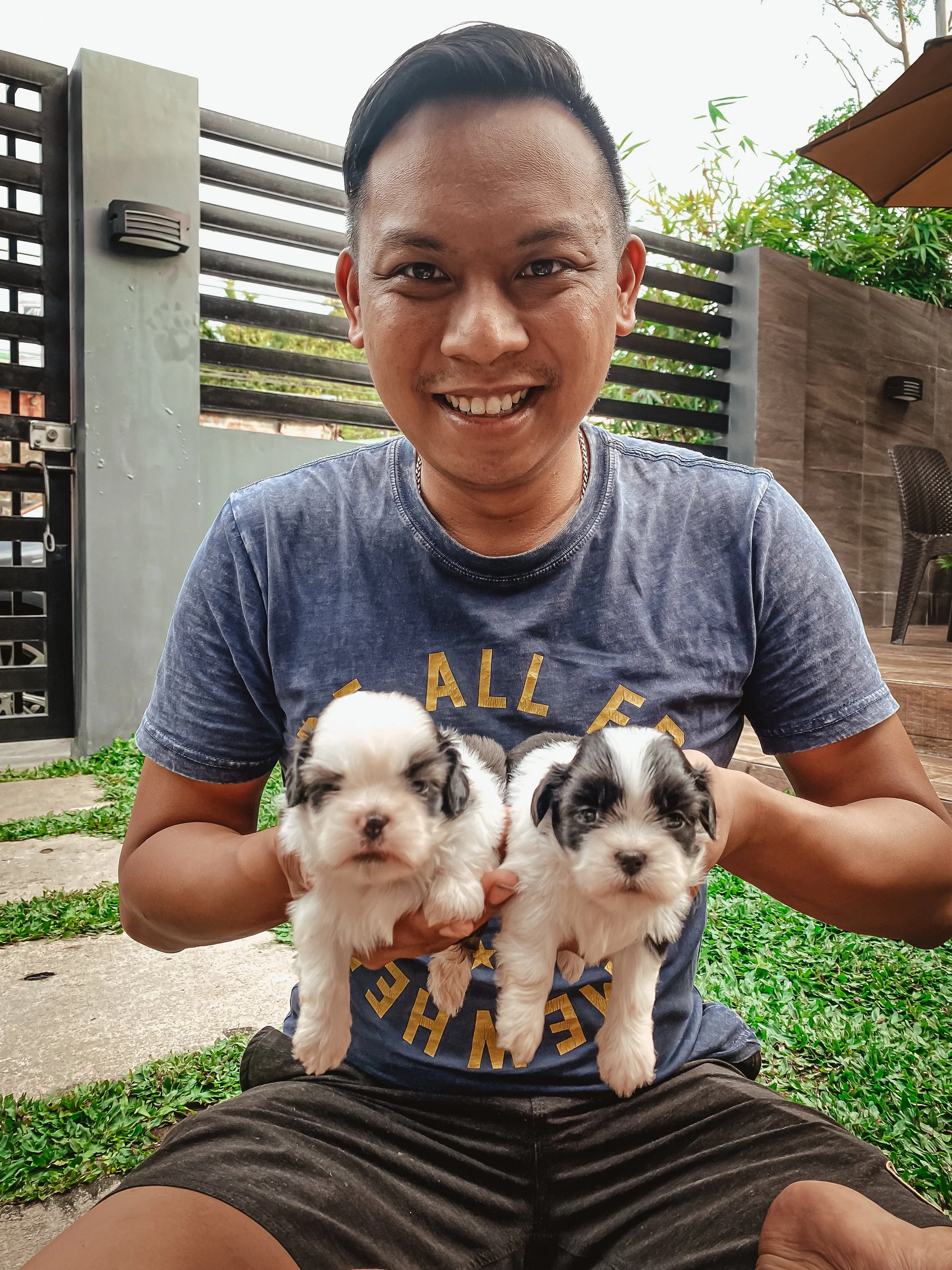 Twin Puppies