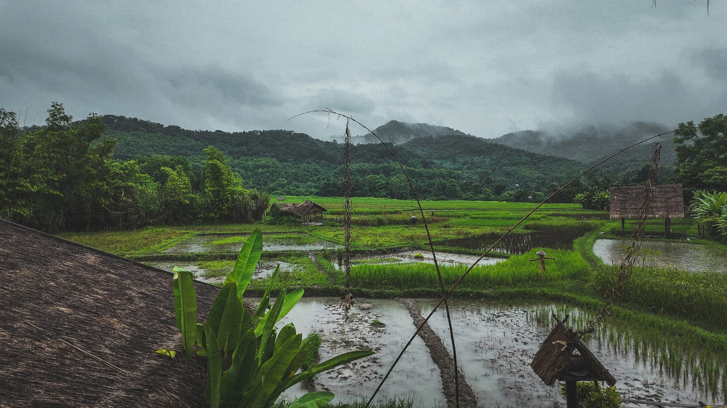Notes from Luang Prabang